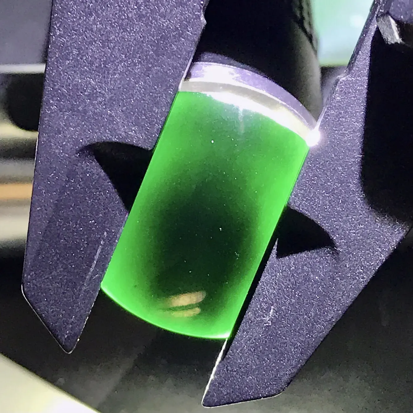 精品力荐 冰糯种墨翠马鞍戒面，黝黑发亮，细腻度上佳，种质很老，黑度出众。打灯透纯正绿色，内部干净通透，镶嵌后上身效果很好。品质上乘，值得入手一试。