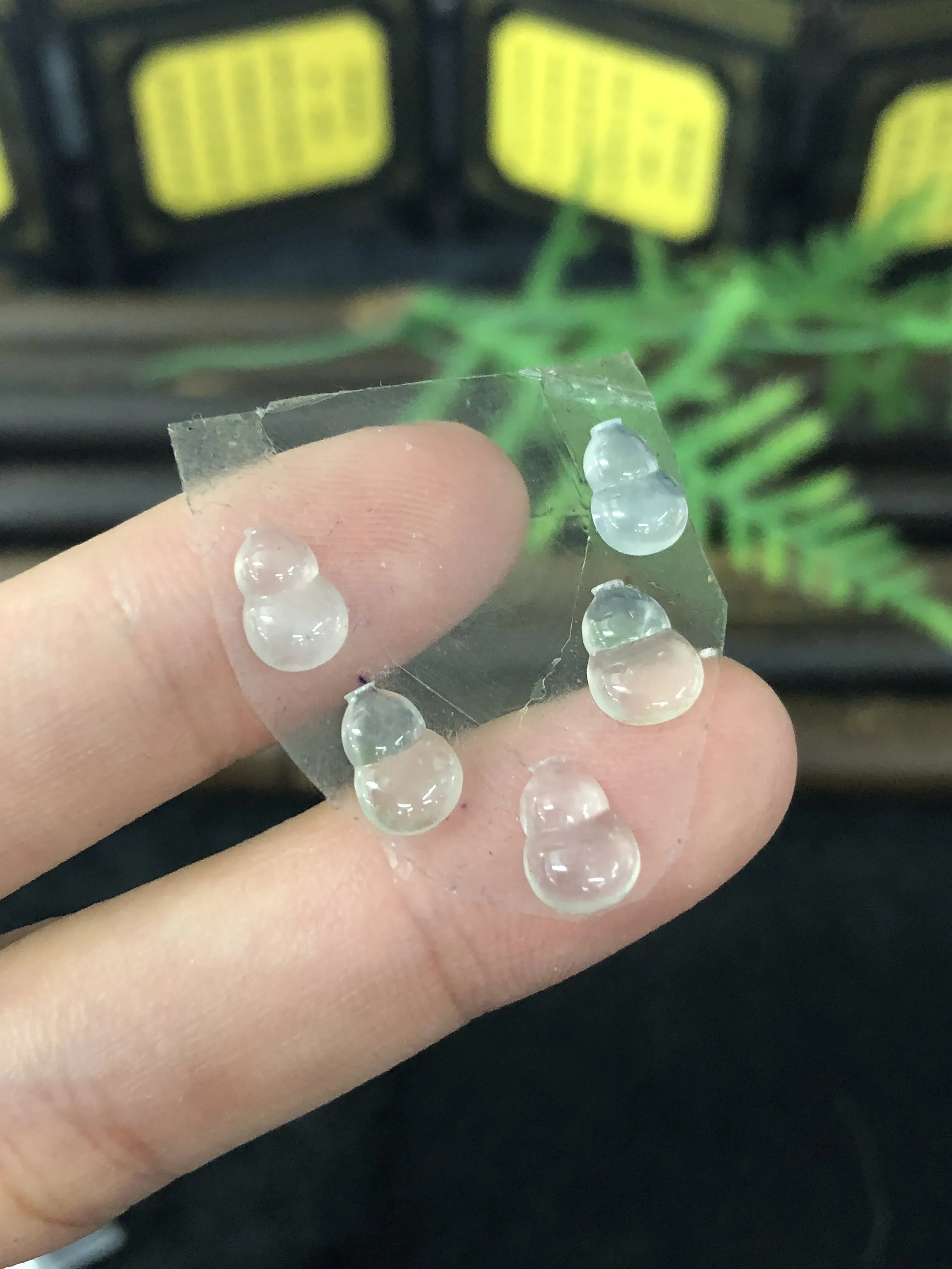 翡翠葫芦裸石
