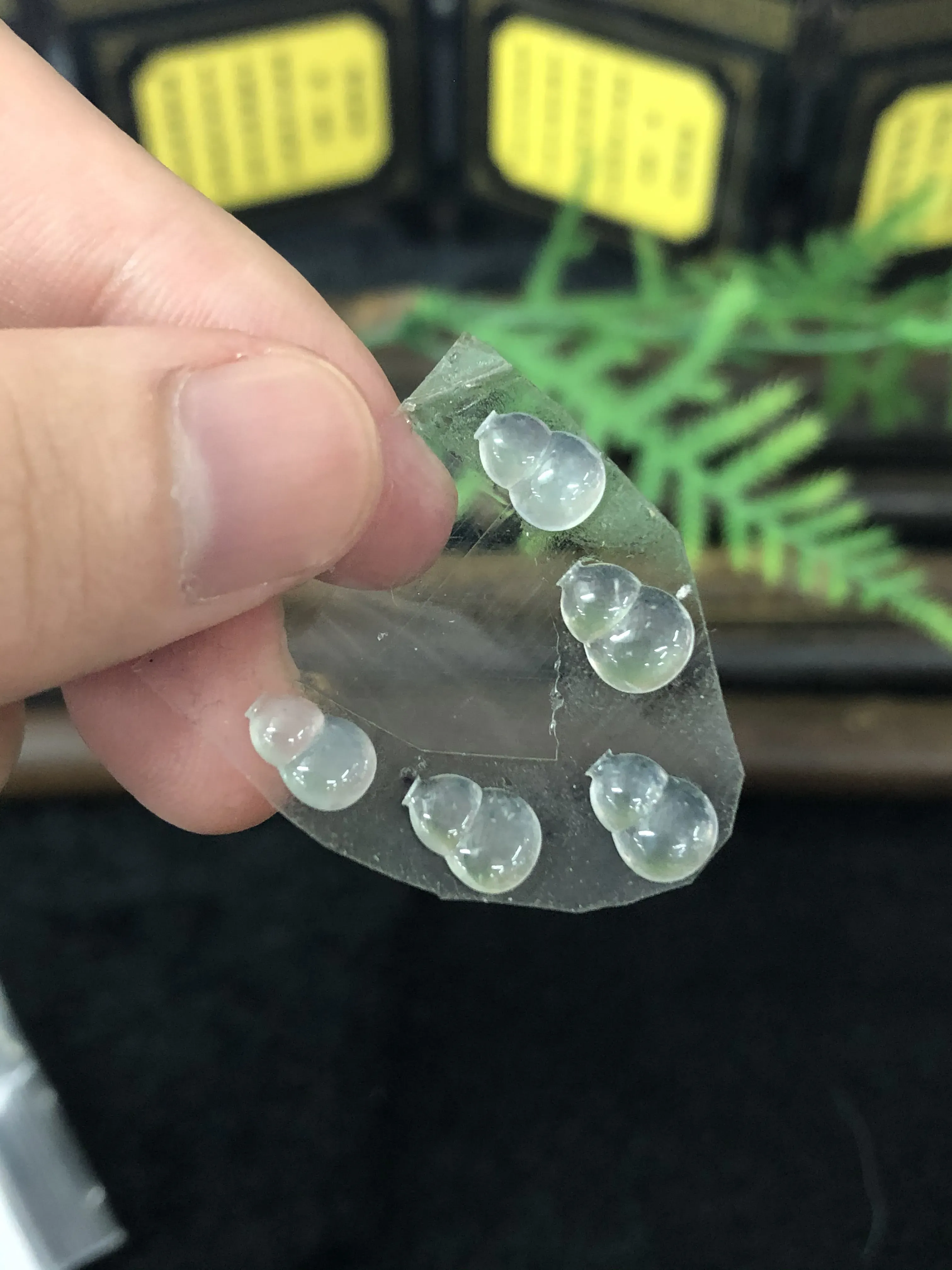 翡翠葫芦裸石