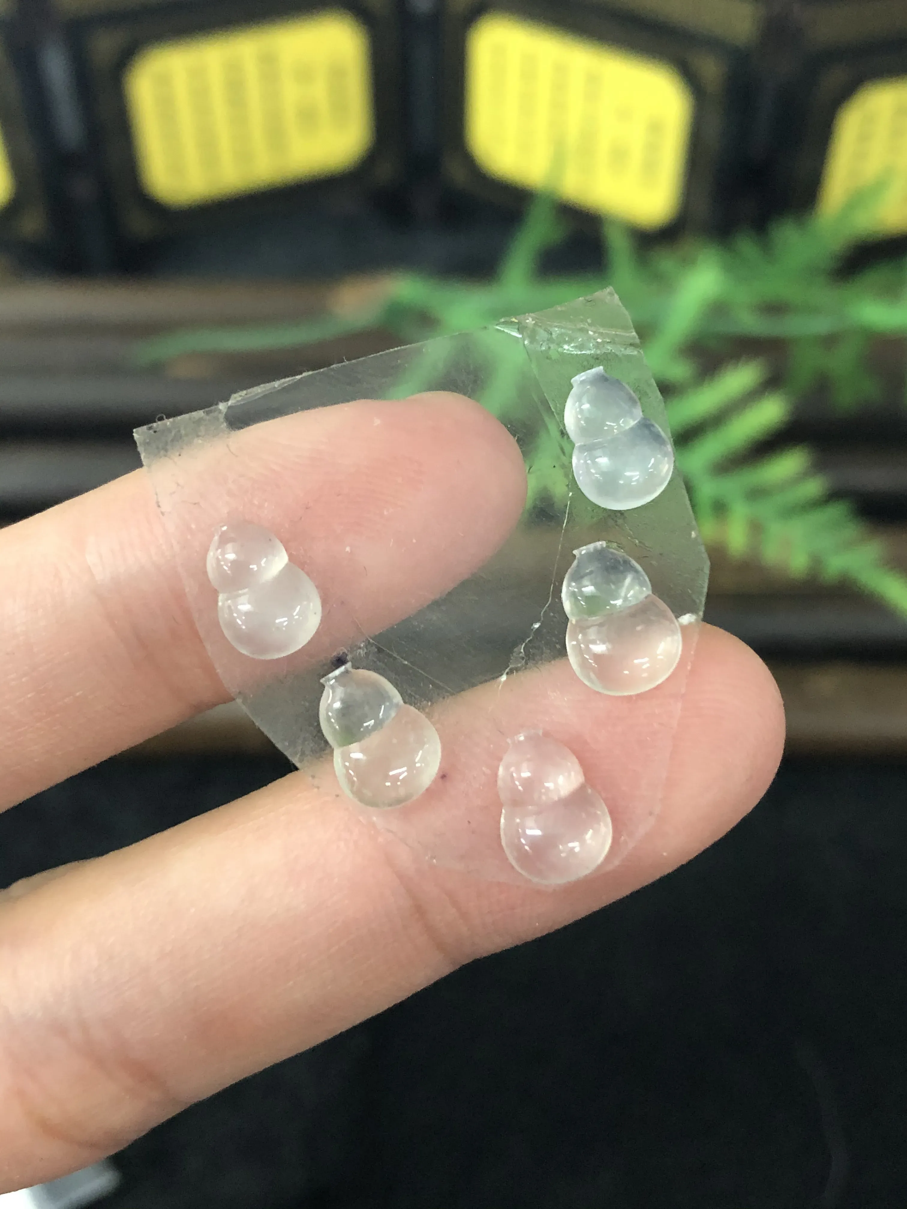 翡翠葫芦裸石