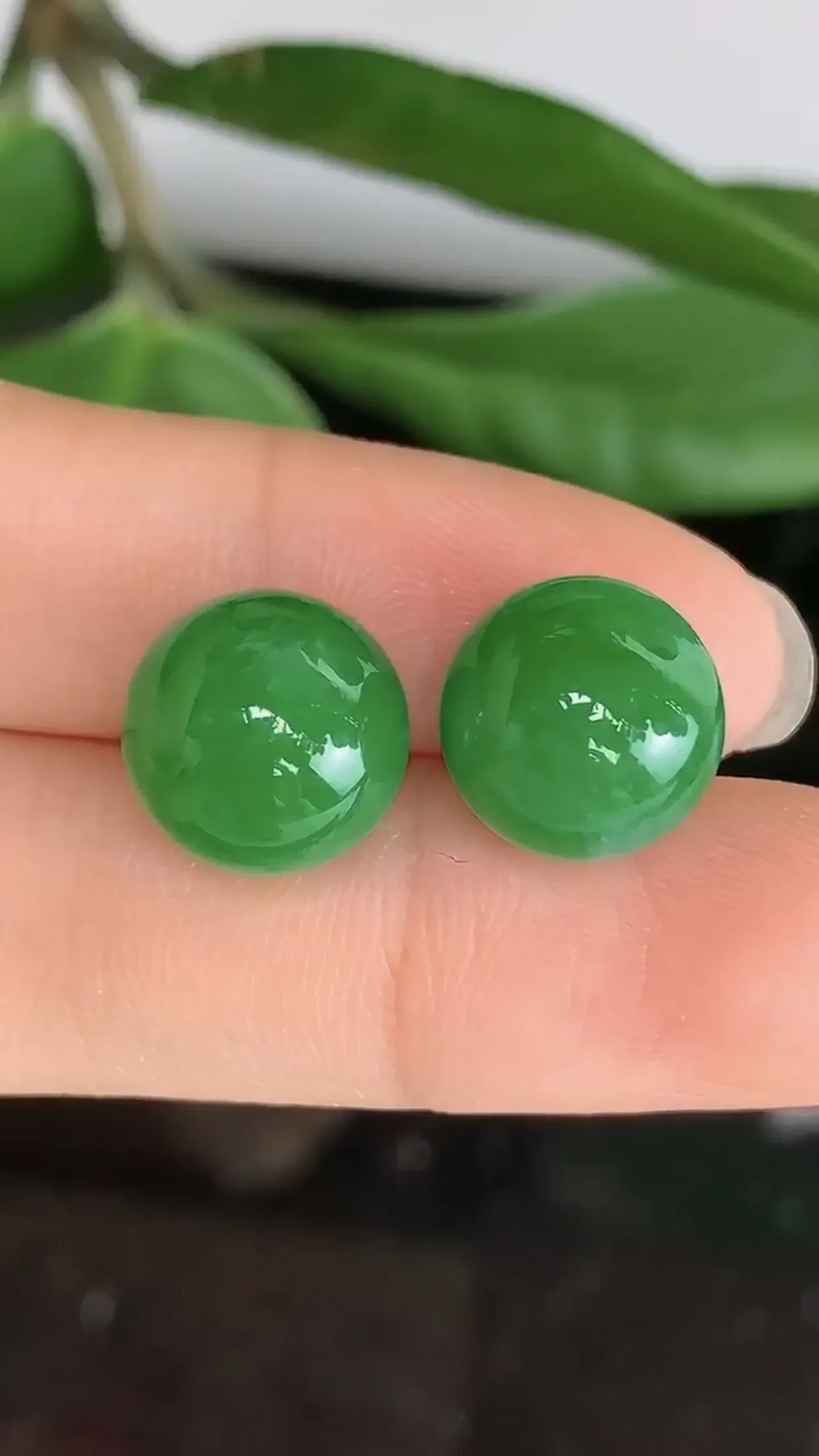 天然A货翡翠冰糯种满绿胶感圆珠玉坠一对 尺寸取一12mm