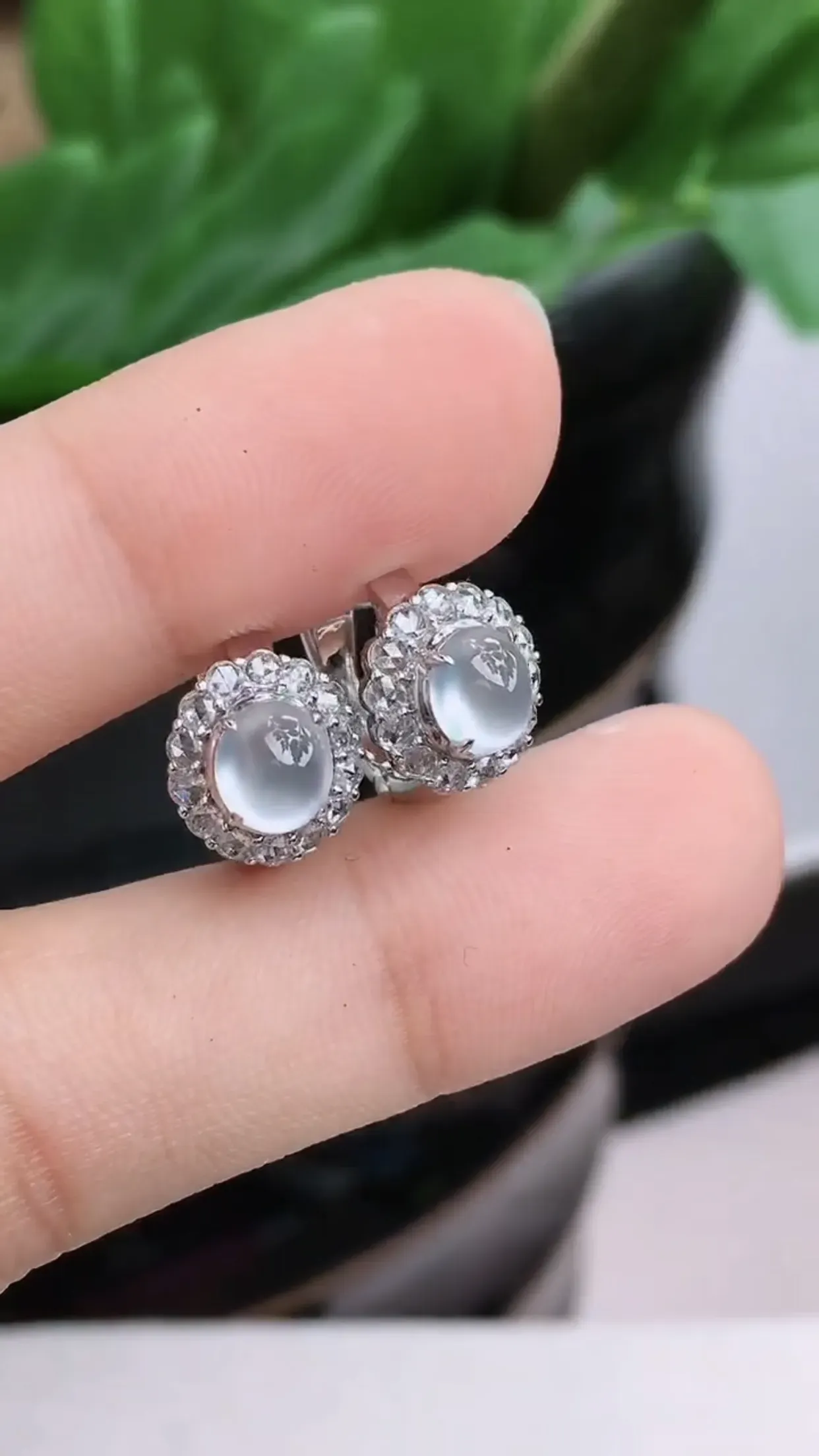 18K金镶嵌老坑好种起胶冰种蛋面耳钉 尺寸：裸石5.9×5.1×1.8mm