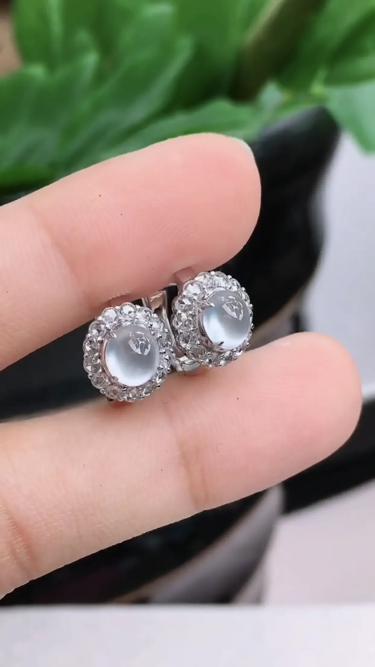 18K金镶嵌老坑好种起胶冰种蛋面耳钉 尺寸：裸石5.9×5.1×1.8mm
