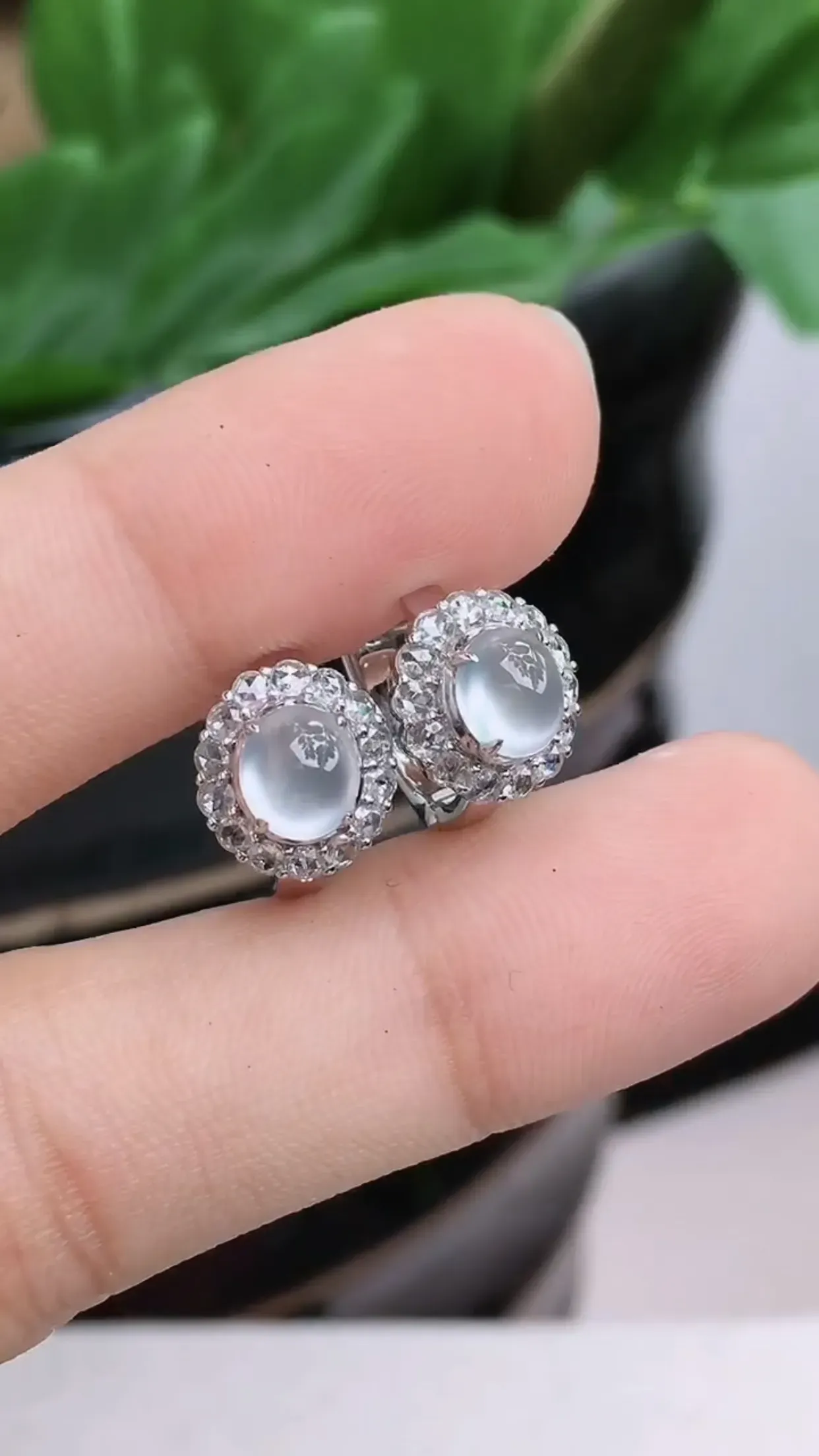 18K金镶嵌老坑好种起胶冰种蛋面耳钉 尺寸：裸石5.9×5.1×1.8mm