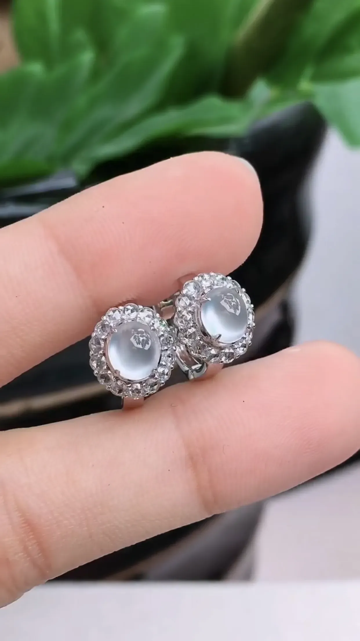 18K金镶嵌老坑好种起胶冰种蛋面耳钉 尺寸：裸石5.9×5.1×1.8mm