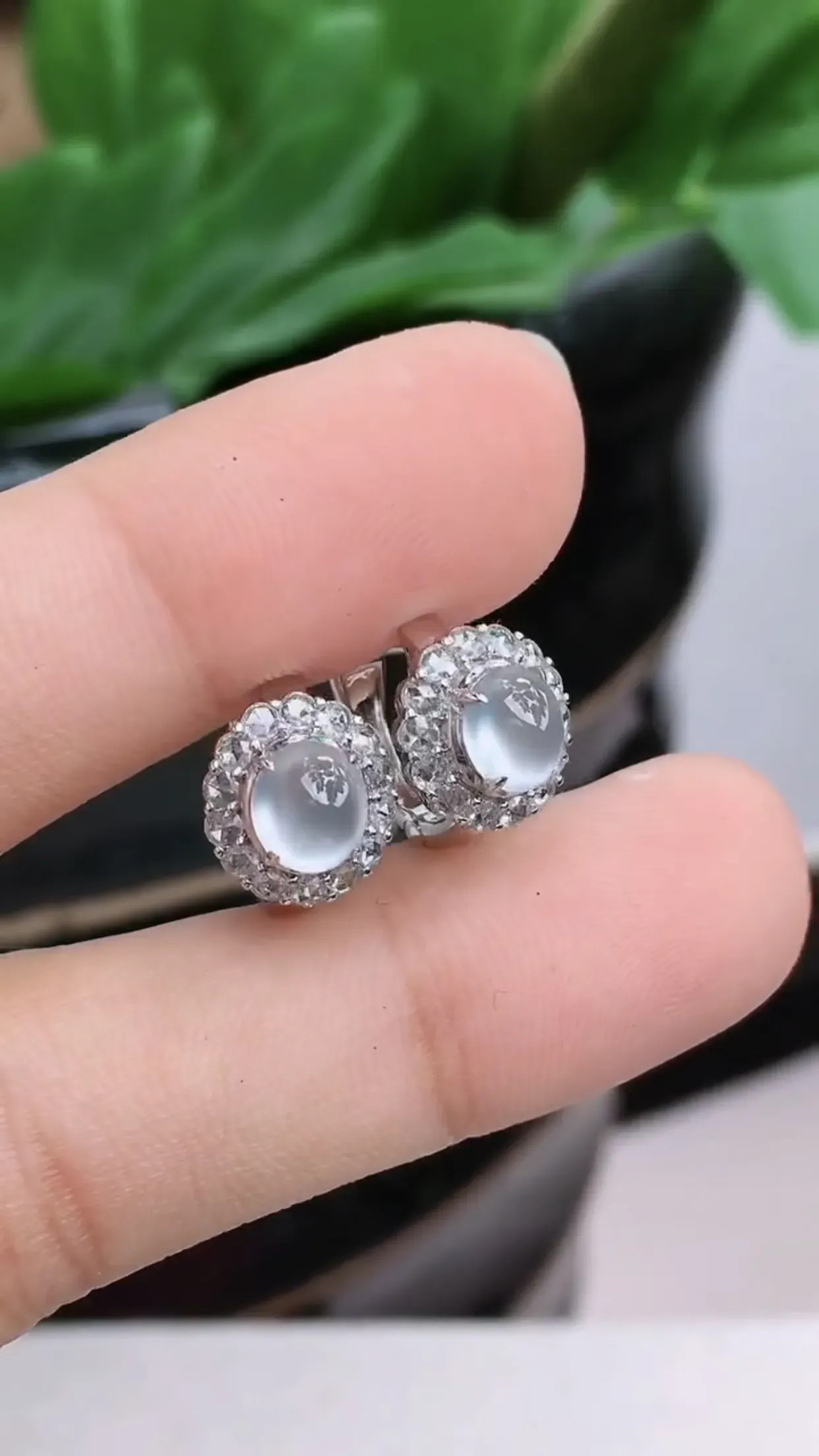 18K金镶嵌老坑好种起胶冰种蛋面耳钉 尺寸：裸石5.9×5.1×1.8mm