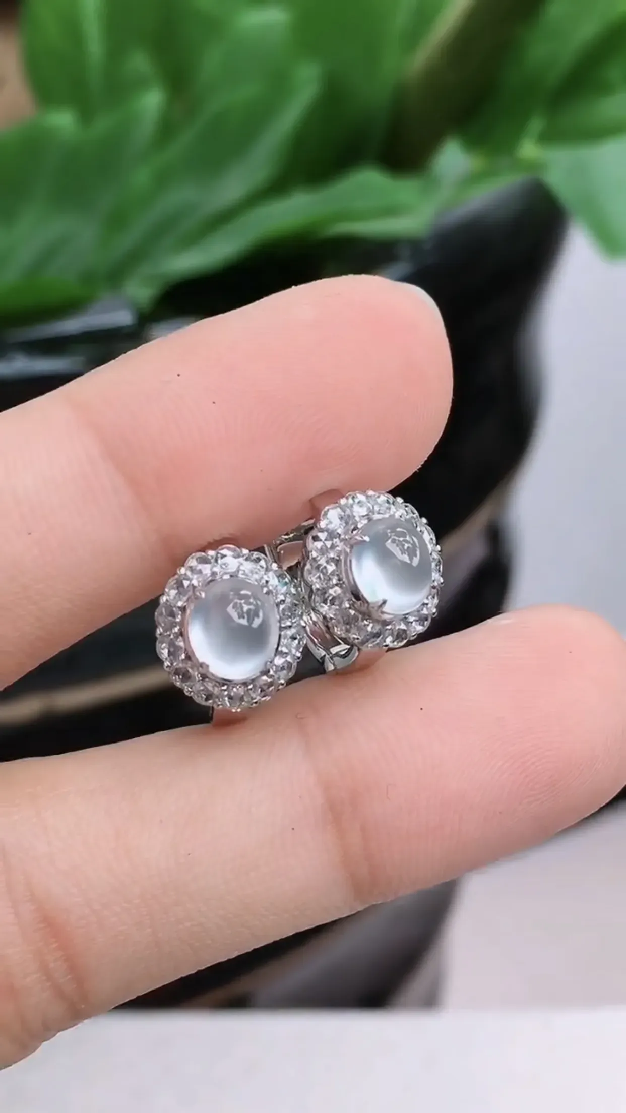 18K金镶嵌老坑好种起胶冰种蛋面耳钉 尺寸：裸石5.9×5.1×1.8mm