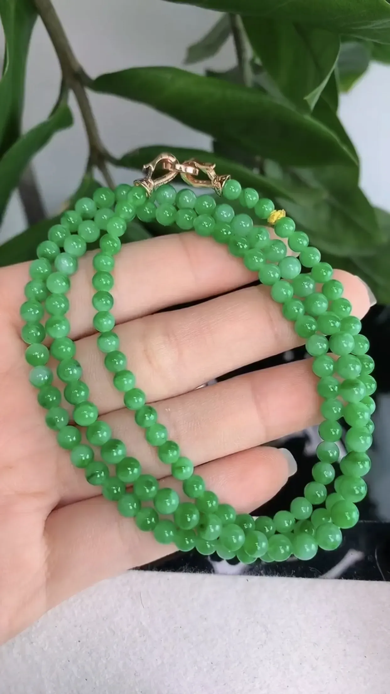 天然A货翡翠冰糯种飘阳绿全胶感圆珠项链 尺寸取一4.8mm