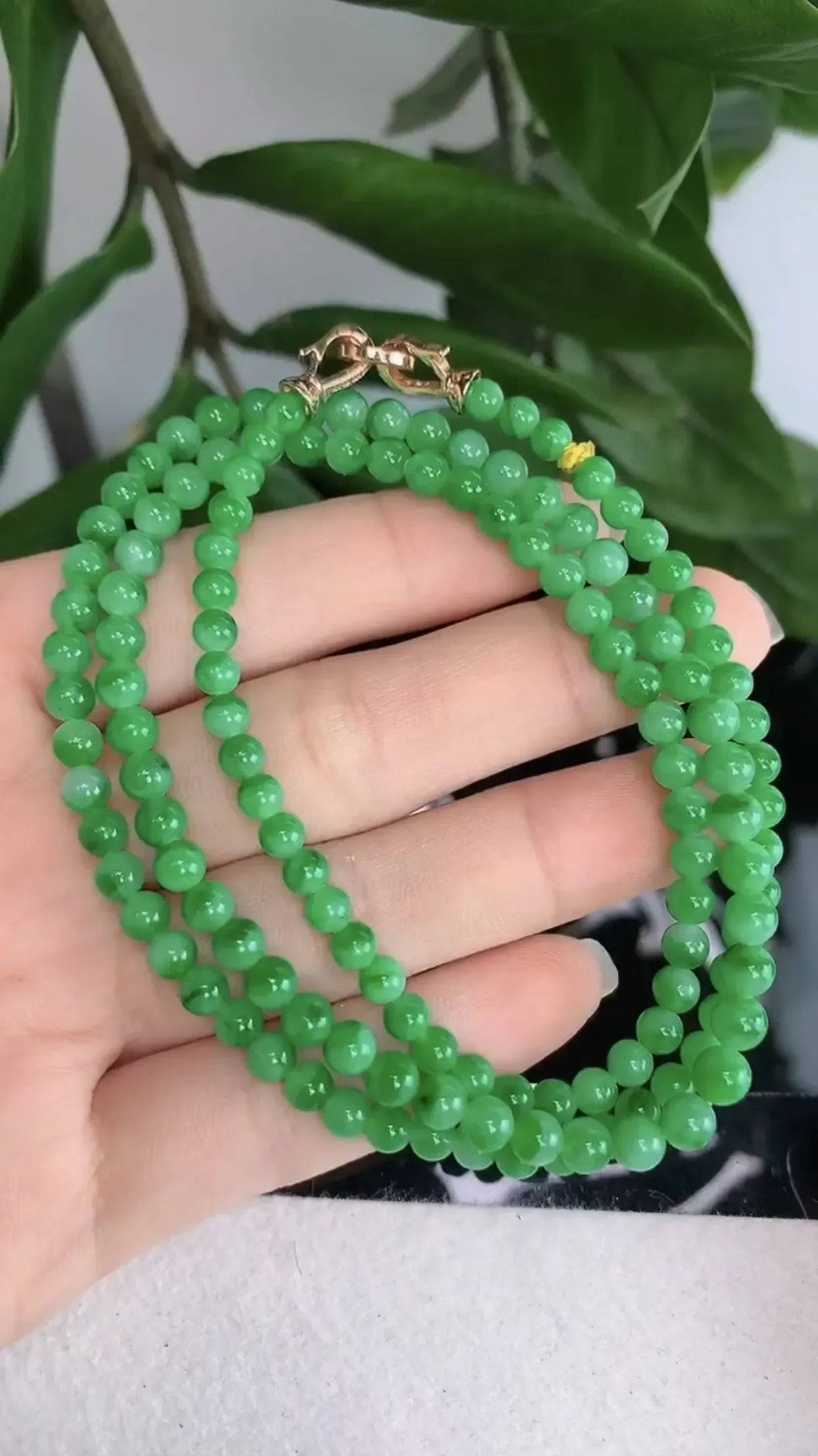 天然A货翡翠冰糯种飘阳绿全胶感圆珠项链 尺寸取一4.8mm