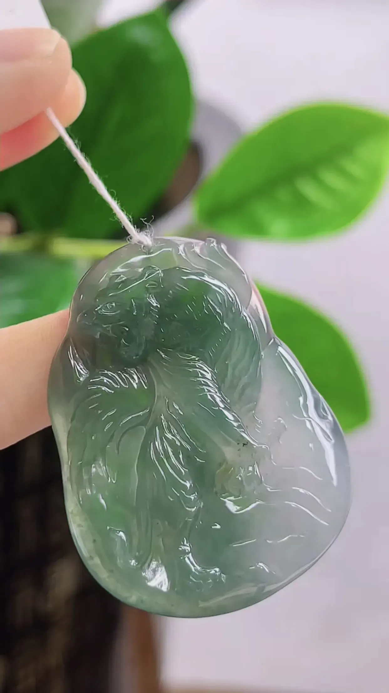 缅甸玉天然A货翡翠  老坑料起胶冰种飘绿生肖虎牌挂件 精美水润 色泽鲜艳 种老水头足 料子细腻光滑 尺寸：42-33-5.4mm  y16.24
