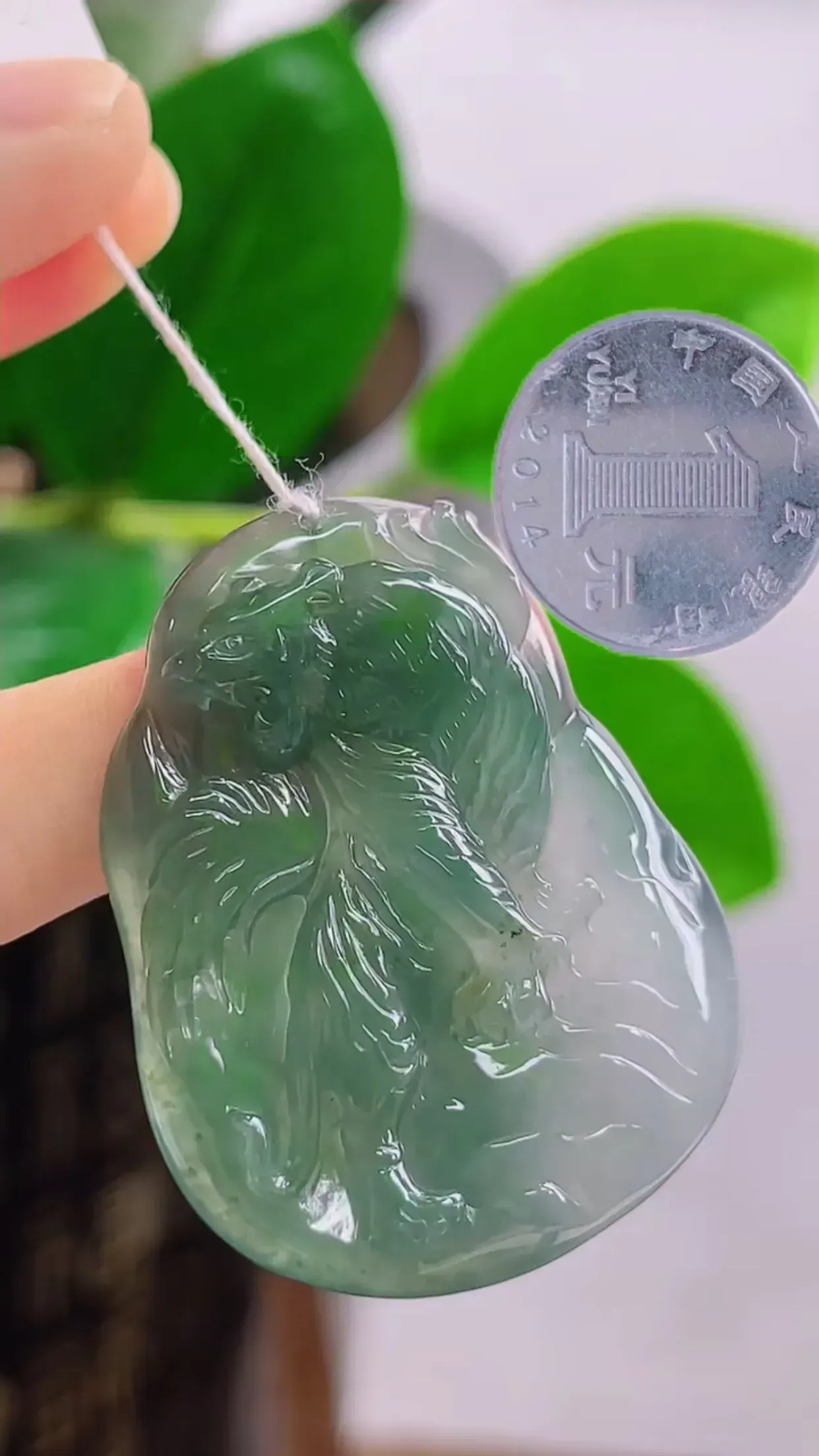 缅甸玉天然A货翡翠  老坑料起胶冰种飘绿生肖虎牌挂件 精美水润 色泽鲜艳 种老水头足 料子细腻光滑 尺寸：42-33-5.4mm  y16.24