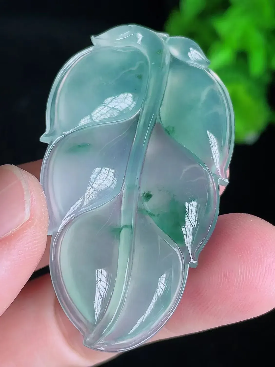 【限时特惠】冰飘花起胶大叶子
尺寸53.2/30.3/4.6mm，i3k34（纯自然光实拍）