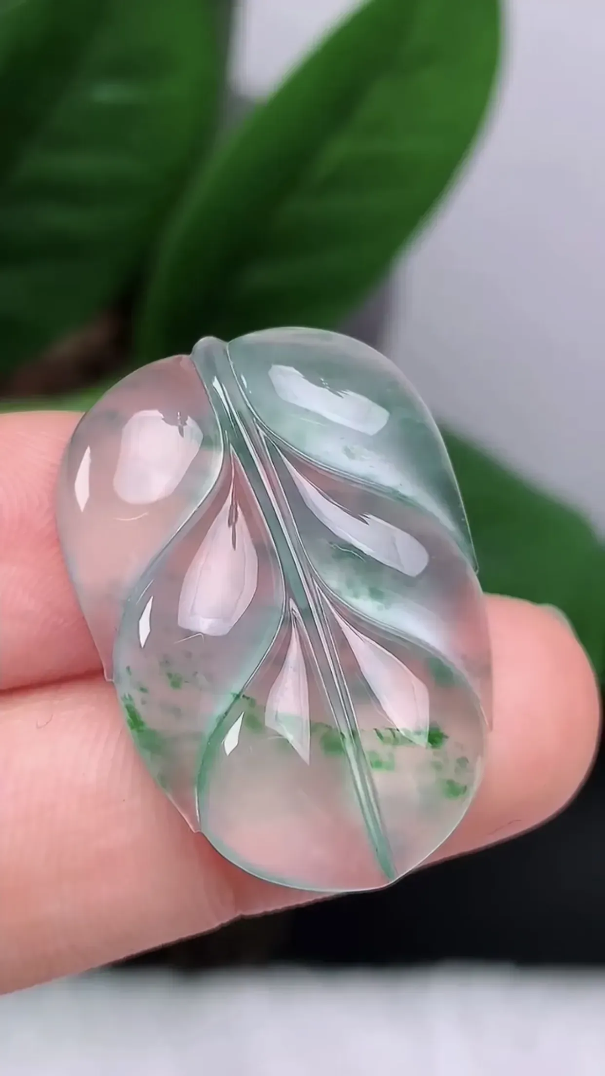 缅甸玉天然A货翡翠 老坑高冰起光飘花金枝玉叶 树叶吊坠 冰透起刚光 玉质细腻 色泽鲜艳 种老水头足 收藏佩戴佳品 尺寸：30.7*21.8*5.2mm  y6.64