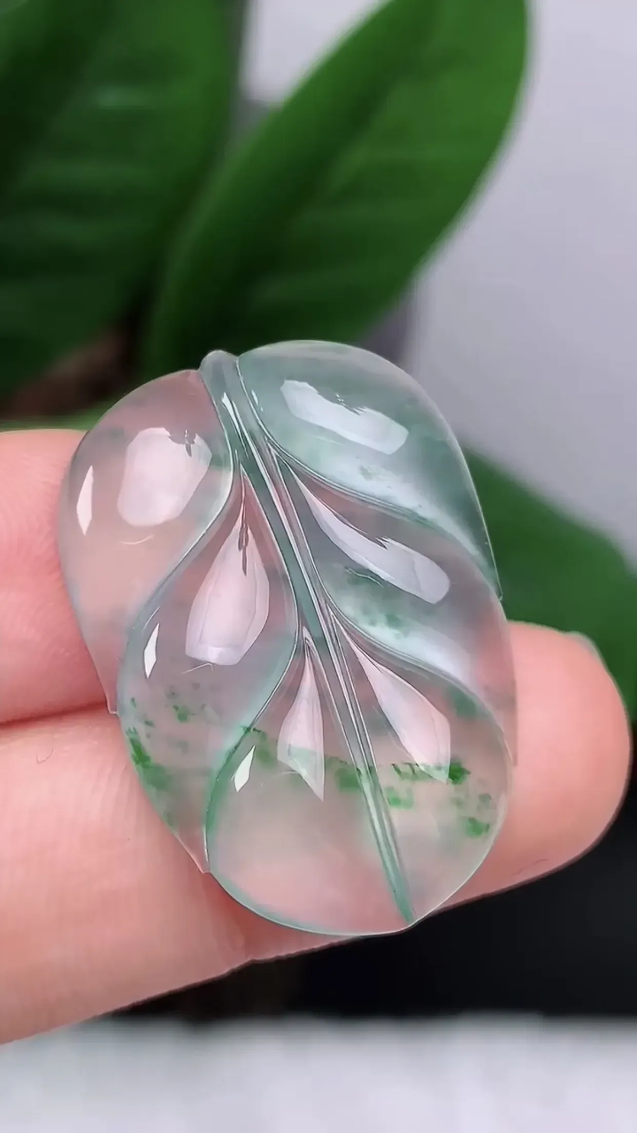 缅甸玉天然A货翡翠 老坑高冰起光飘花金枝玉叶 树叶吊坠 冰透起刚光 玉质细腻 色泽鲜艳 种老水头足 收藏佩戴佳品 尺寸：30.7*21.8*5.2mm  y6.64
