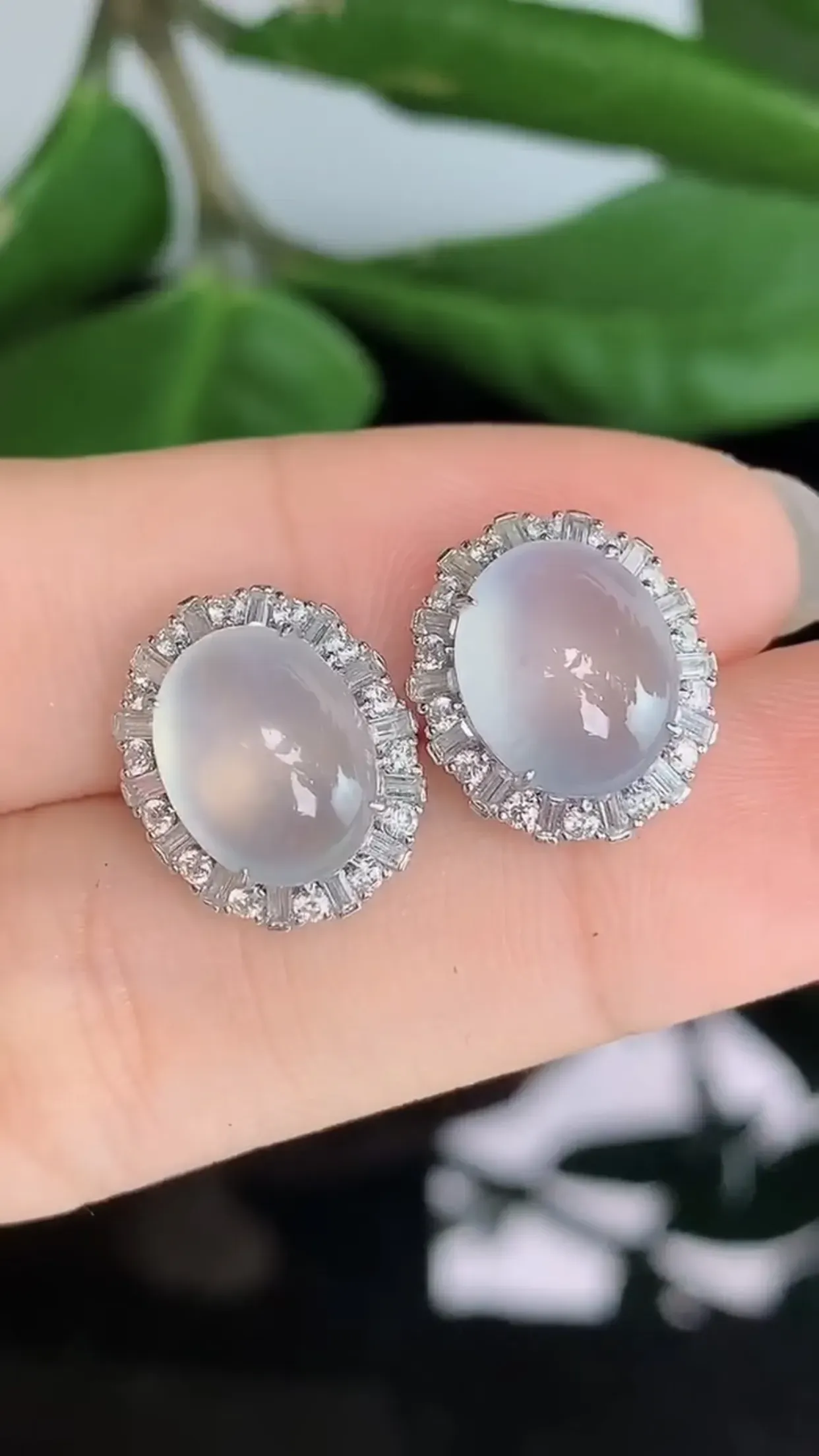天然A货翡翠18k金冰润甜底全蛋面耳钉一对 裸石取一11-9.3mm
