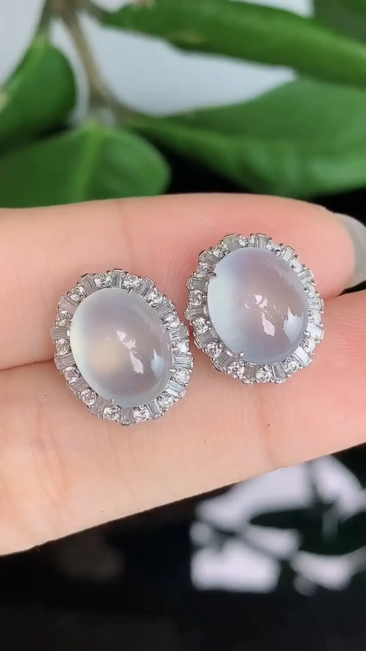 天然A货翡翠18k金冰润甜底全蛋面耳钉一对 裸石取一11-9.3mm