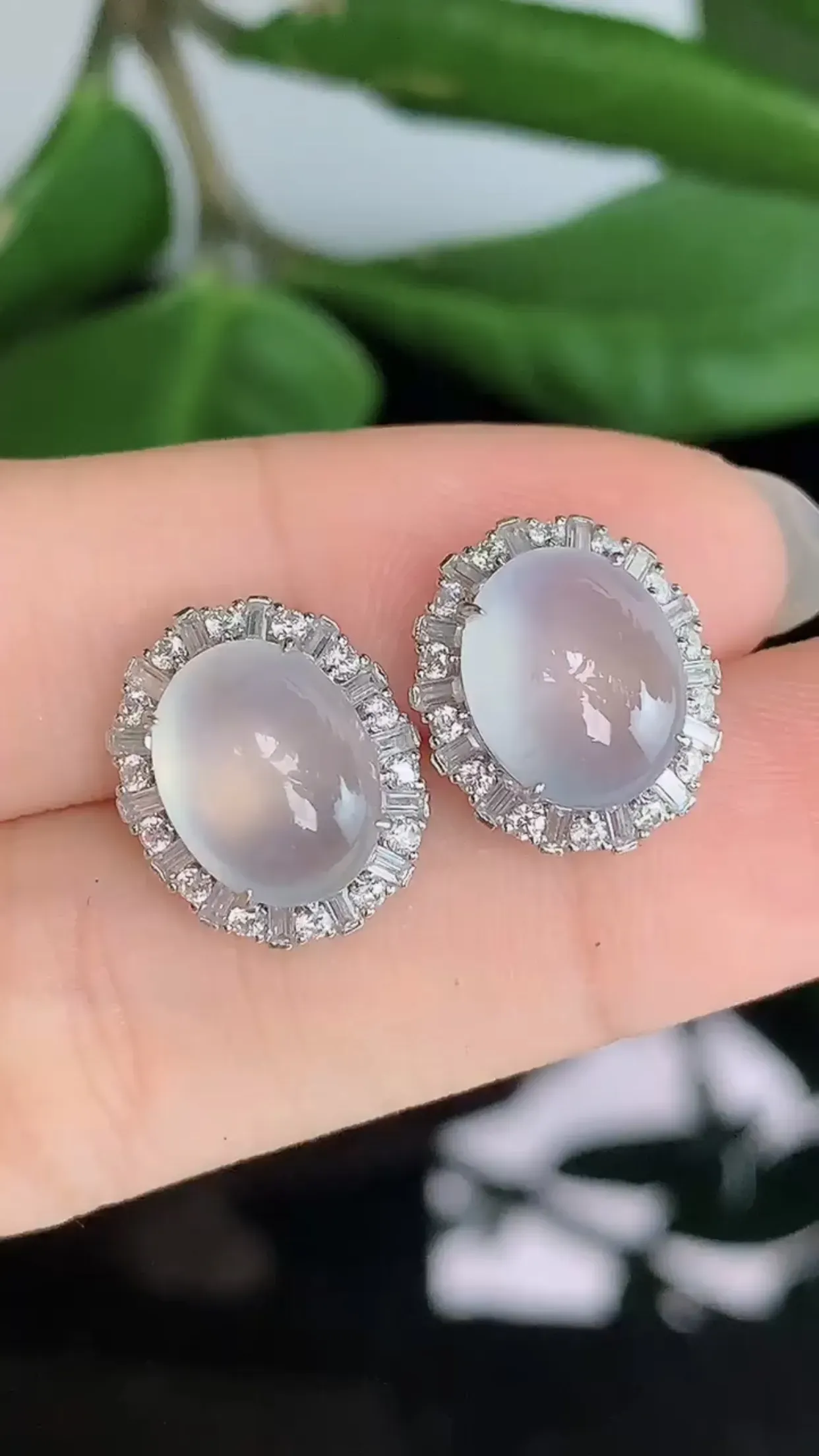 天然A货翡翠18k金冰润甜底全蛋面耳钉一对 裸石取一11-9.3mm