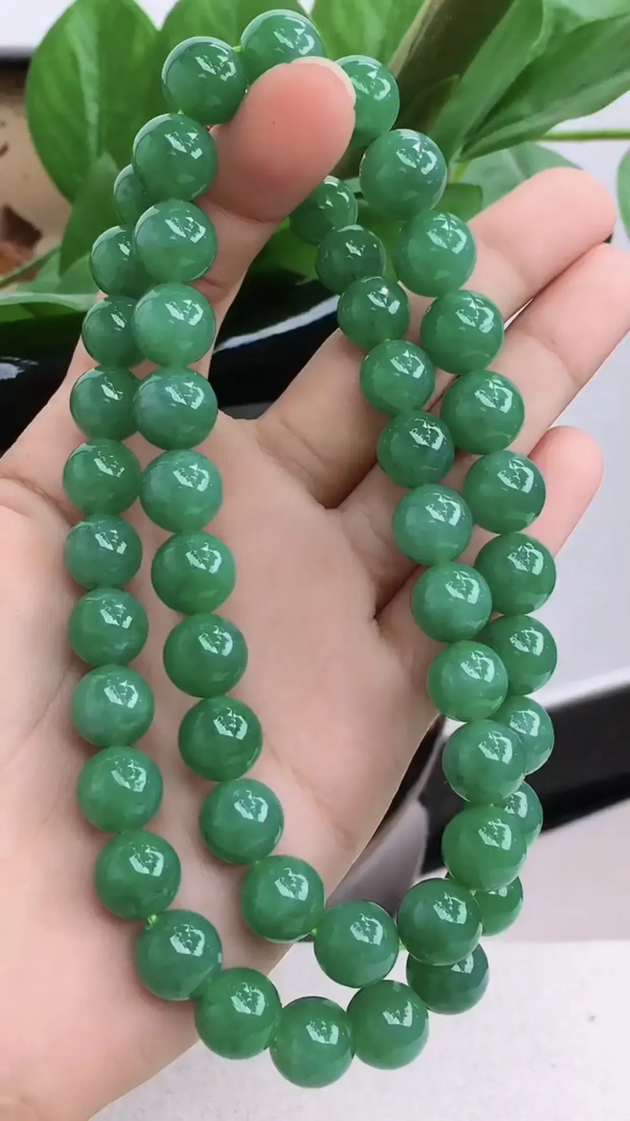 老坑种起胶满绿圆珠项链 尺寸： 10.5mm 共50颗