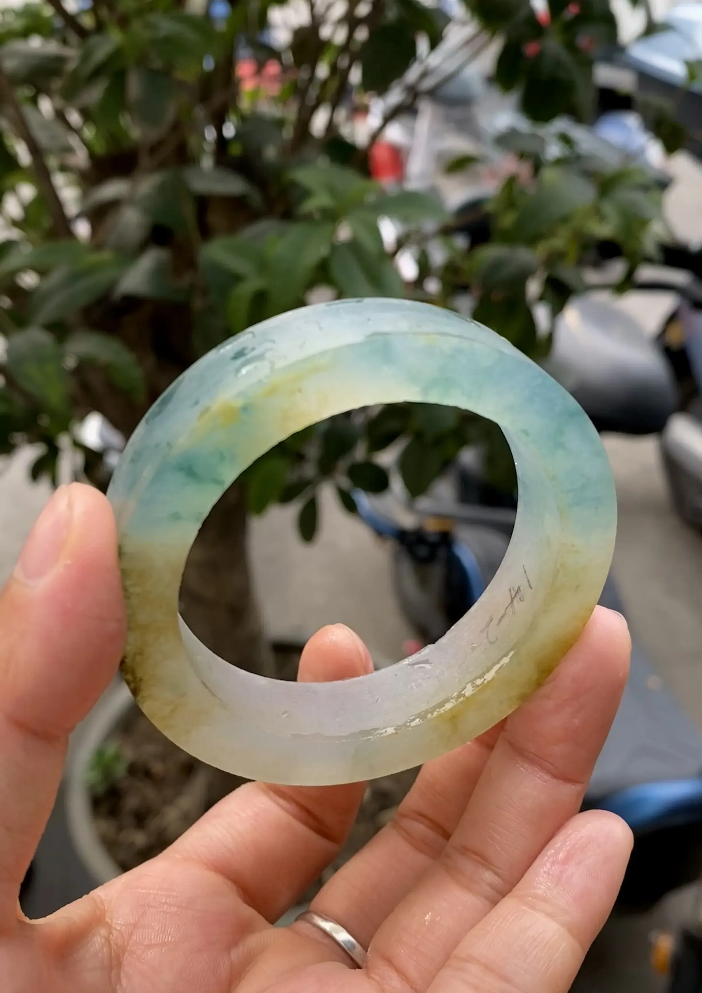 双彩黄加绿毛胚，玉质冰润起胶，色泽鲜艳亮丽，自然光实拍，圈口可做52.3-54