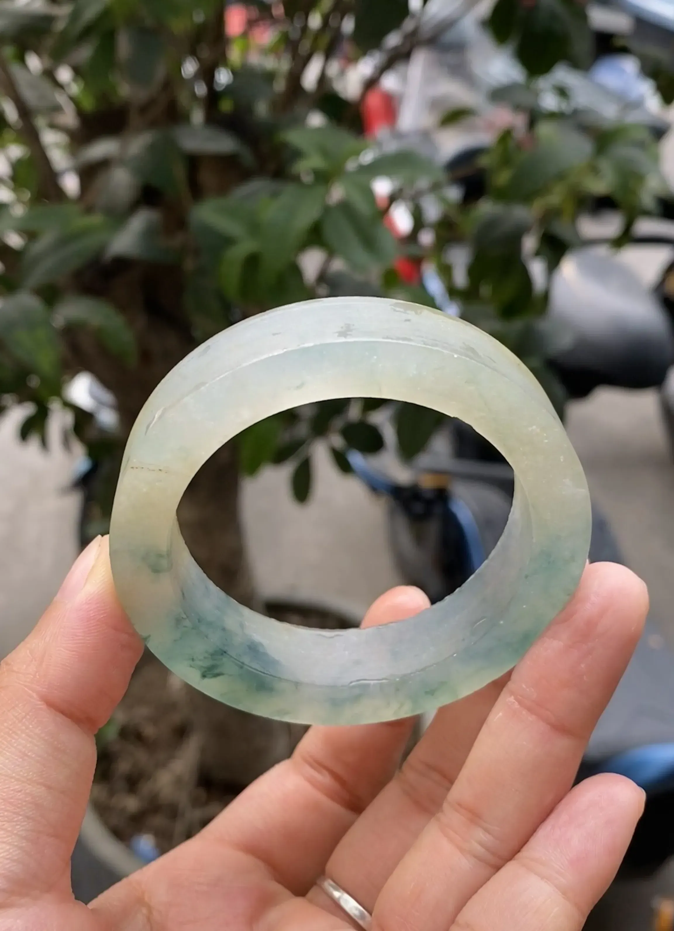 双彩黄加绿毛胚，玉质冰润起胶，色泽鲜艳亮丽，自然光实拍，圈口可做52.3-54