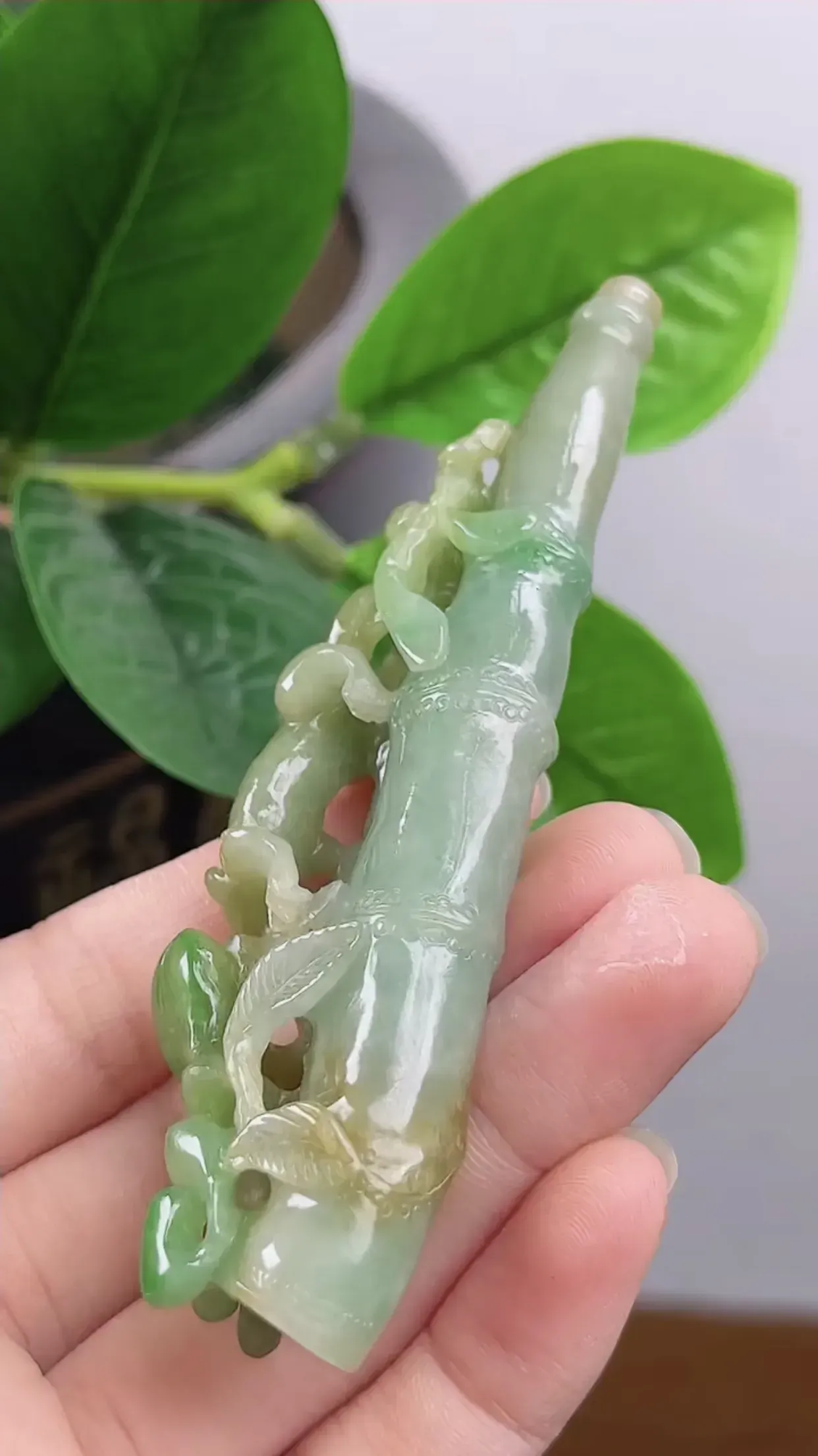 缅甸天然A货翡翠 精美水润 老坑料冰润黄加绿双彩望子成龙烟嘴 望女成凤  玉质细腻 色泽鲜艳 工艺精湛 线条流畅 种水好 尺寸：95*27*13mm  y37.12  佩戴效果优雅