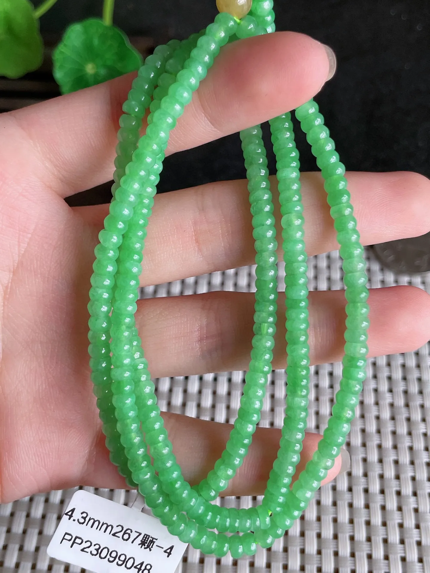 天然翡翠,老坑全胶感满绿算盘珠项链267颗，尺寸:4.3mm， 2720