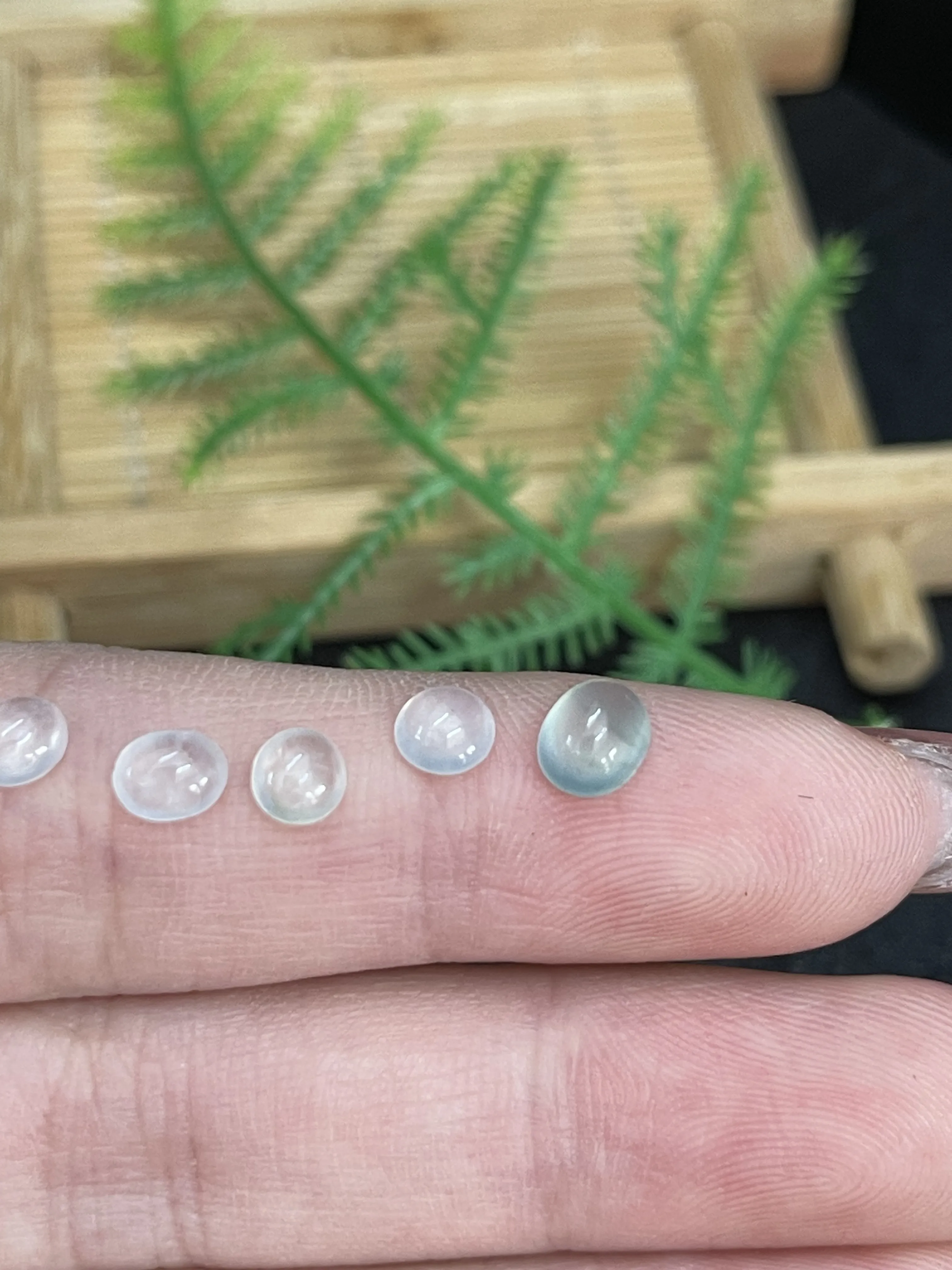 高冰蛋面翡翠戒面一手缅甸玉翡翠戒面起光镶嵌翡翠玉戒指单面耳坠镶嵌戒面一手起光冰透