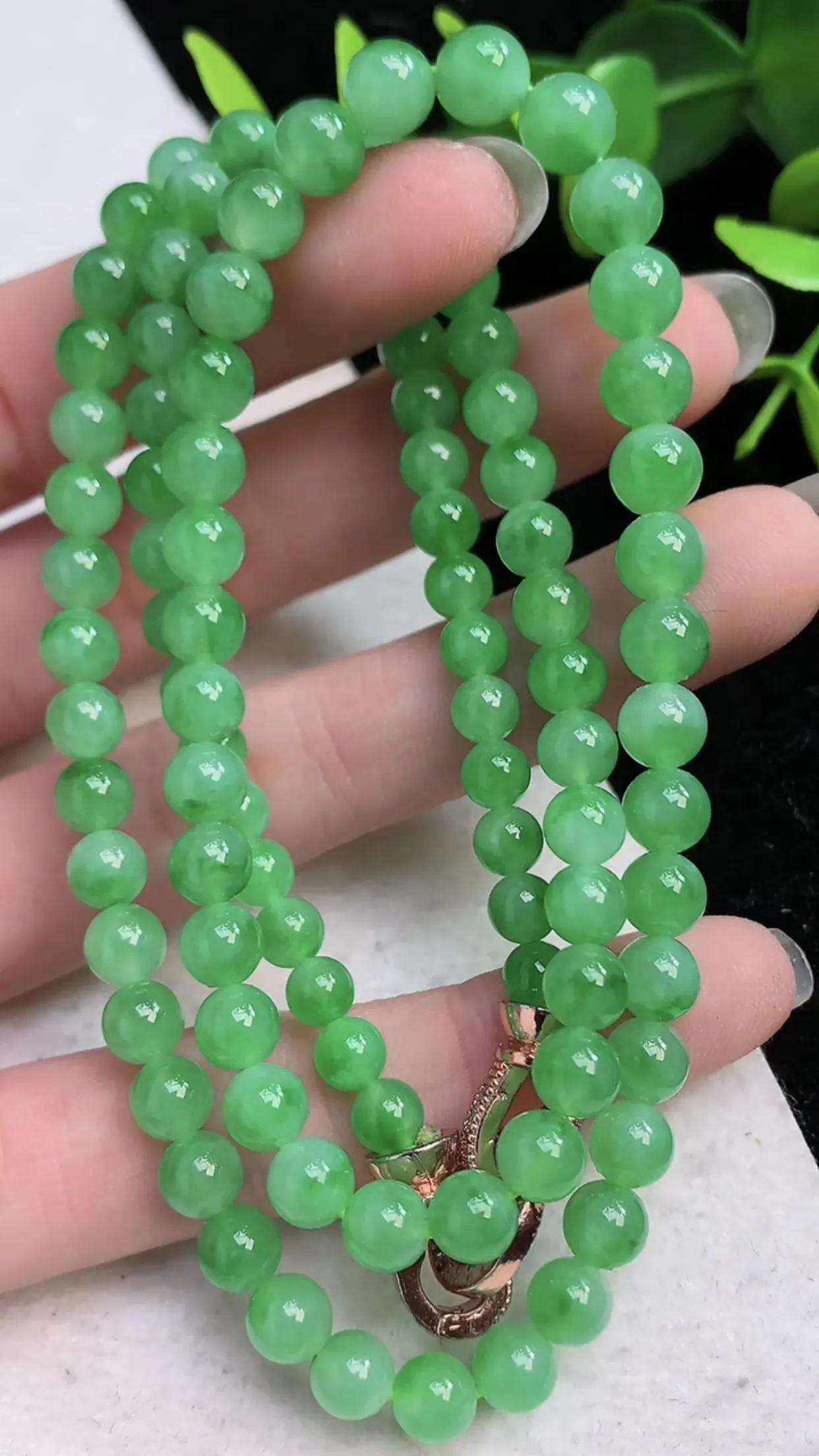 翡翠a货满阳绿圆珠项链100颗 尺寸 5.4mm