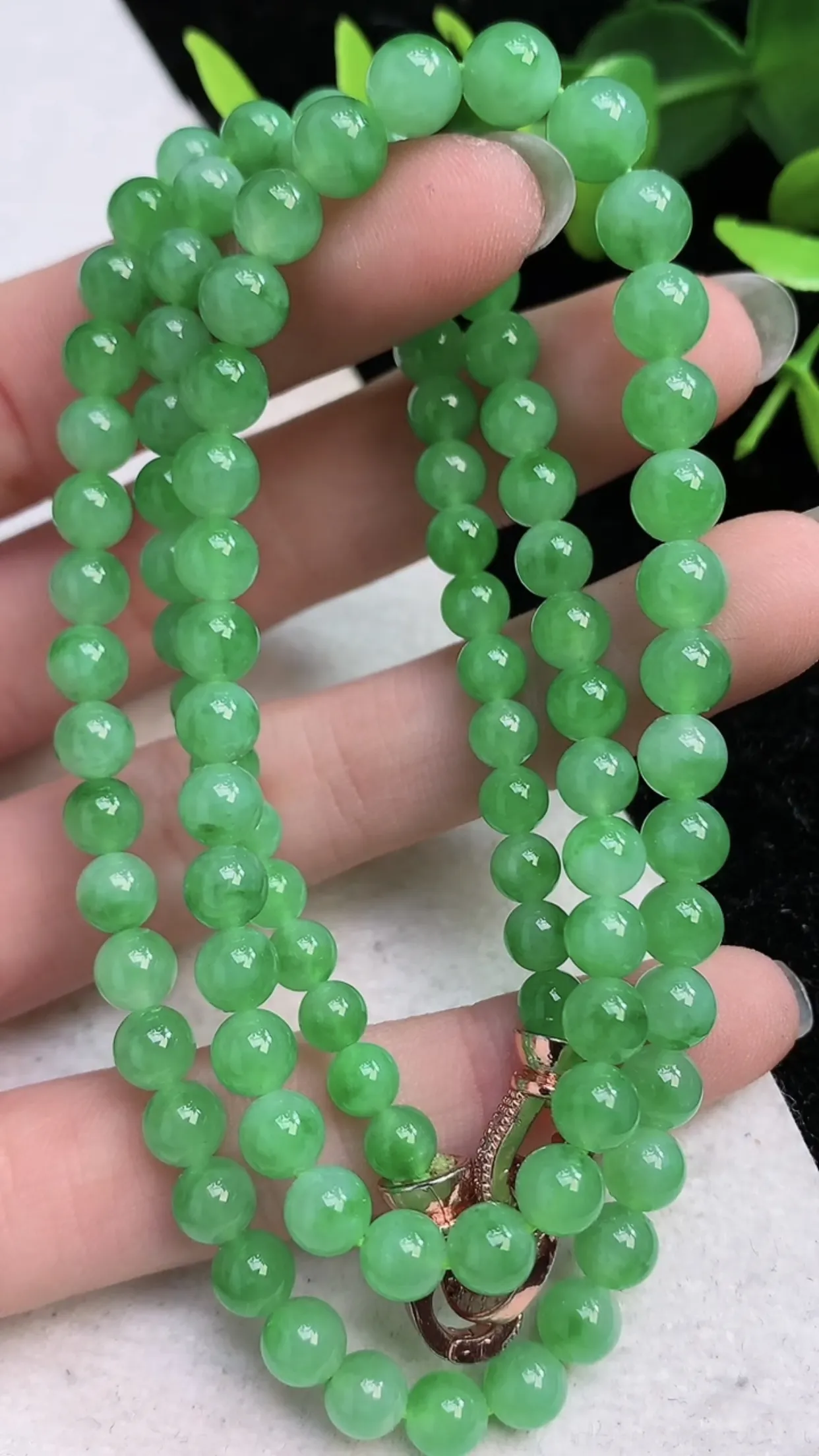 翡翠a货满阳绿圆珠项链100颗 尺寸 5.4mm