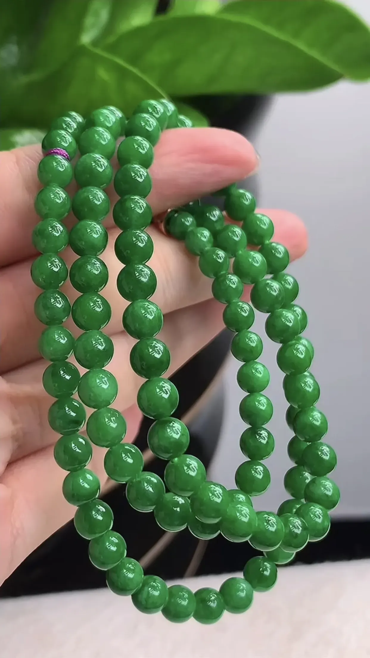 天然A货翡翠老坑种满绿阳绿圆珠项链毛衣链95颗 尺寸5.6mm