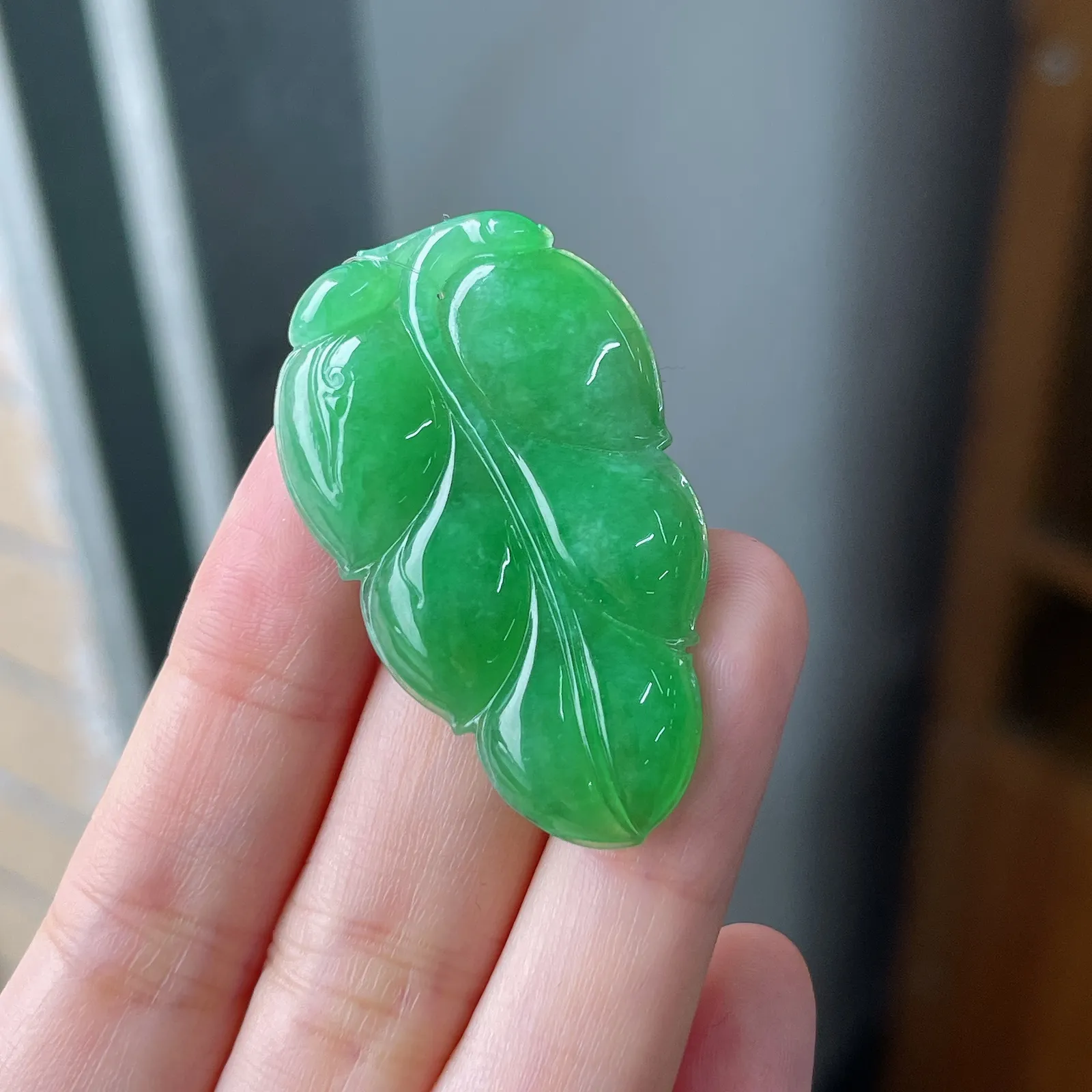 翡翠糯化种浅绿色叶子