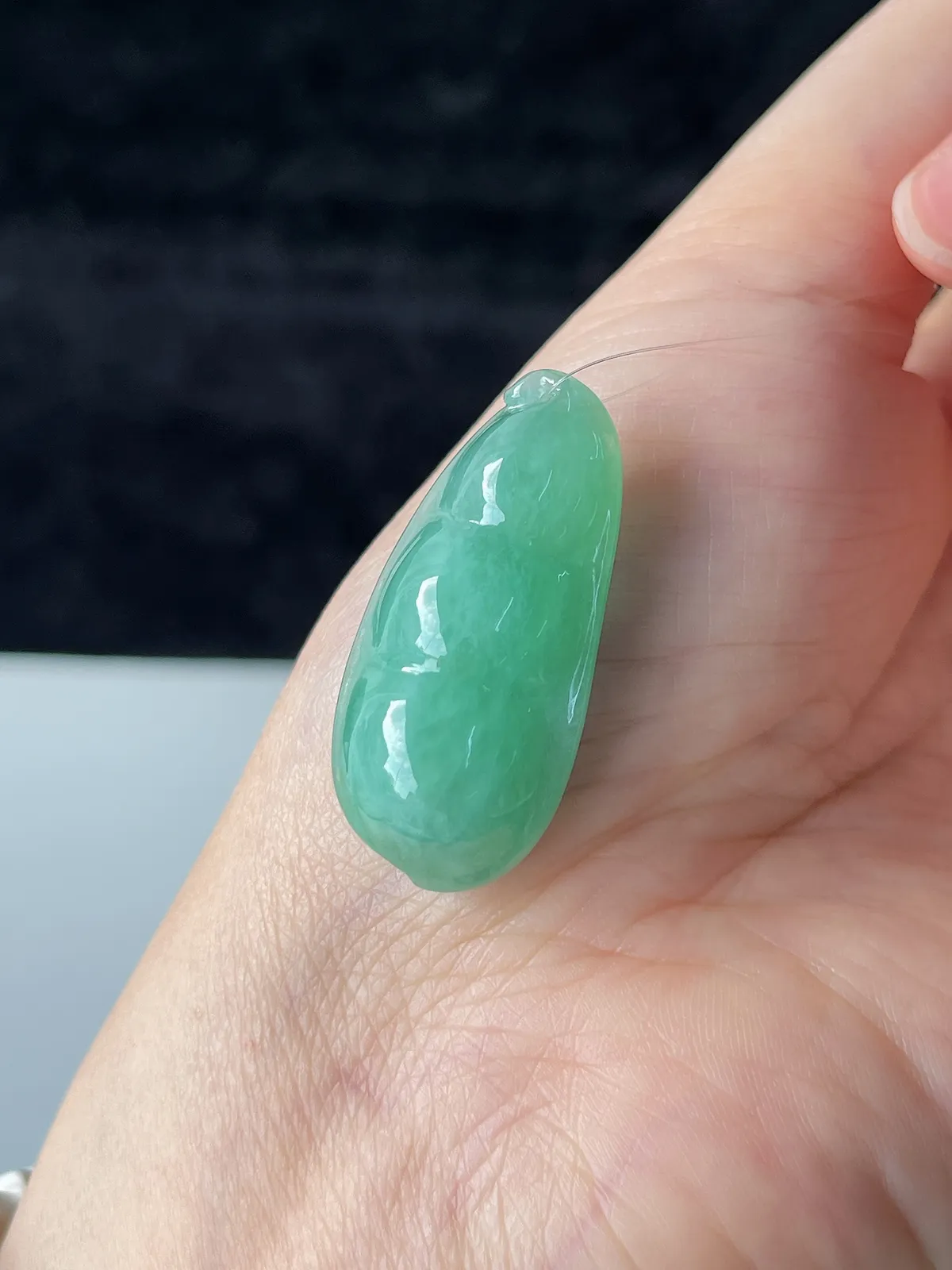 翡翠糯化种浅绿色福豆