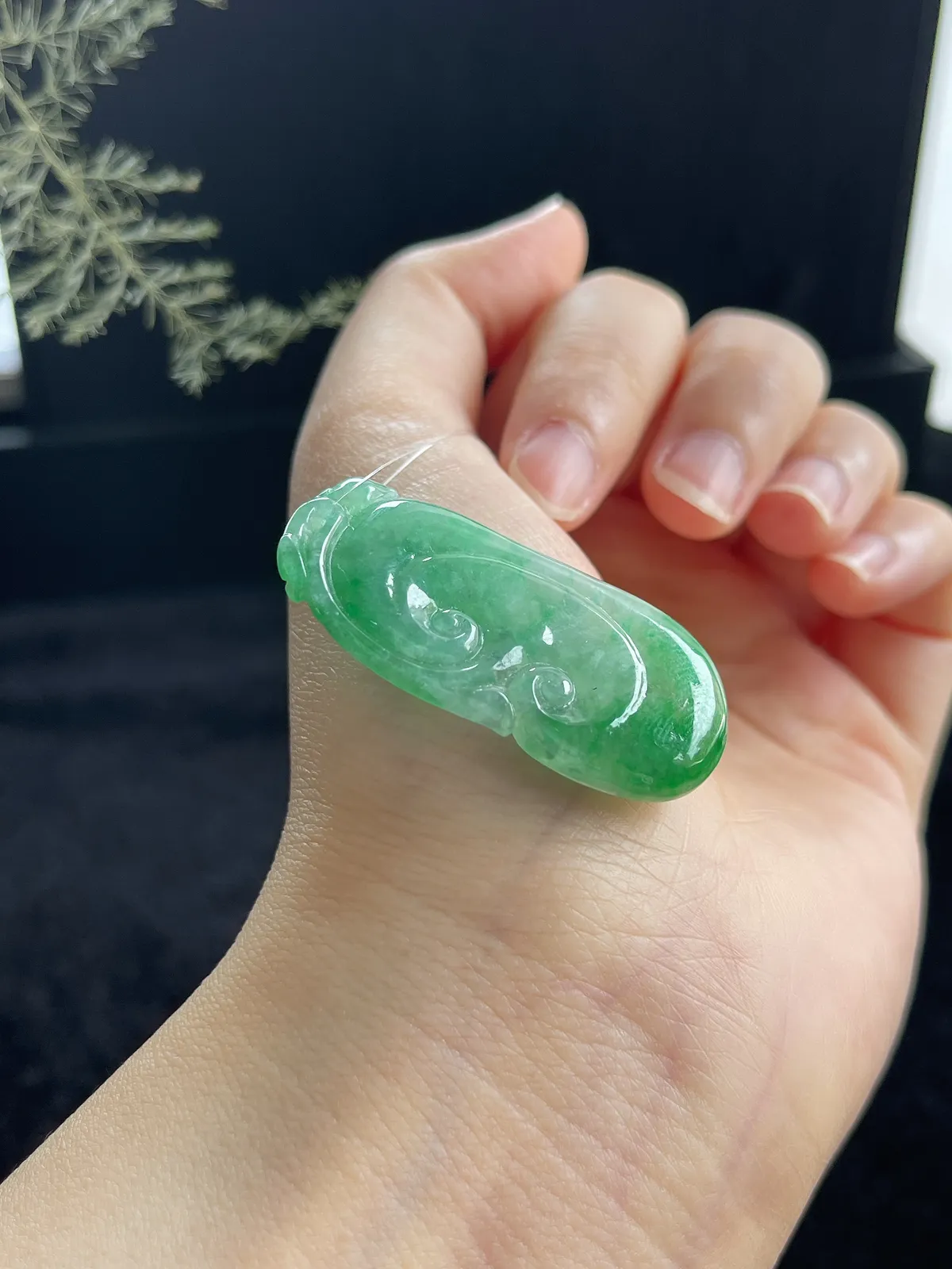 翡翠冰糯种飘绿如意