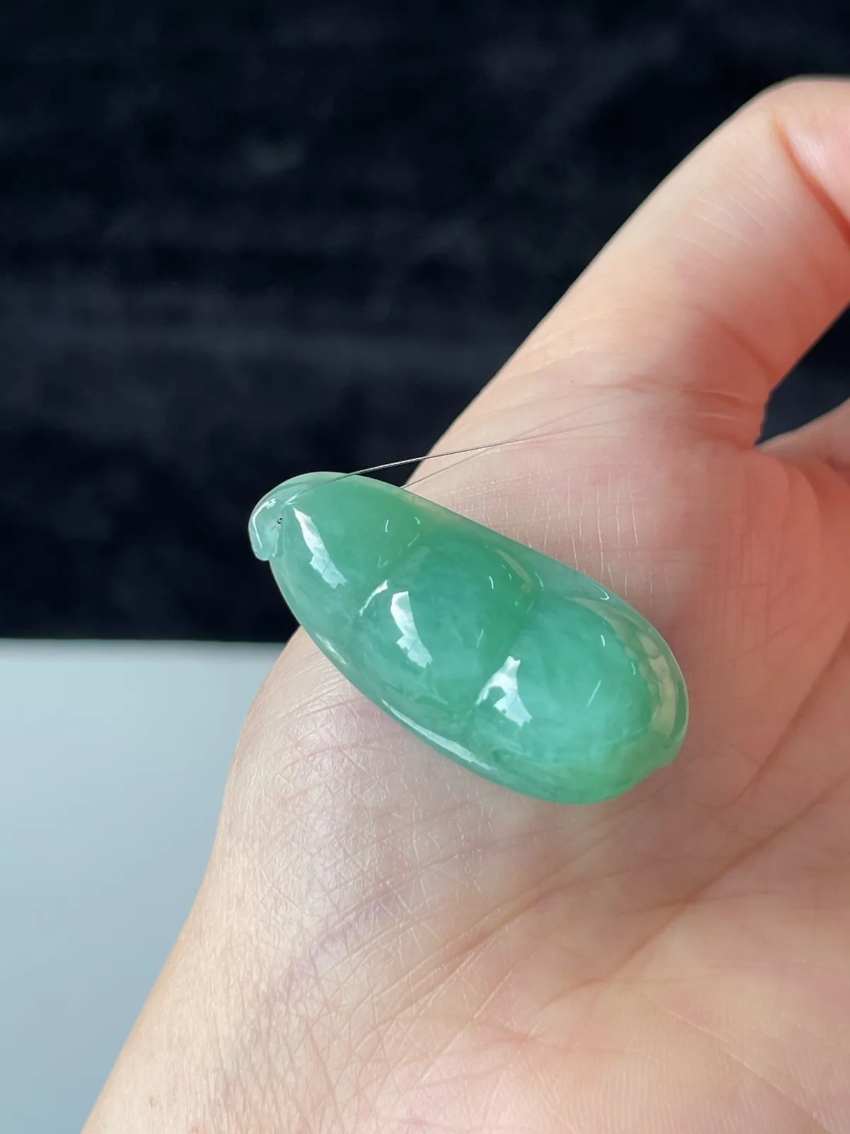 翡翠糯化种浅绿色福豆