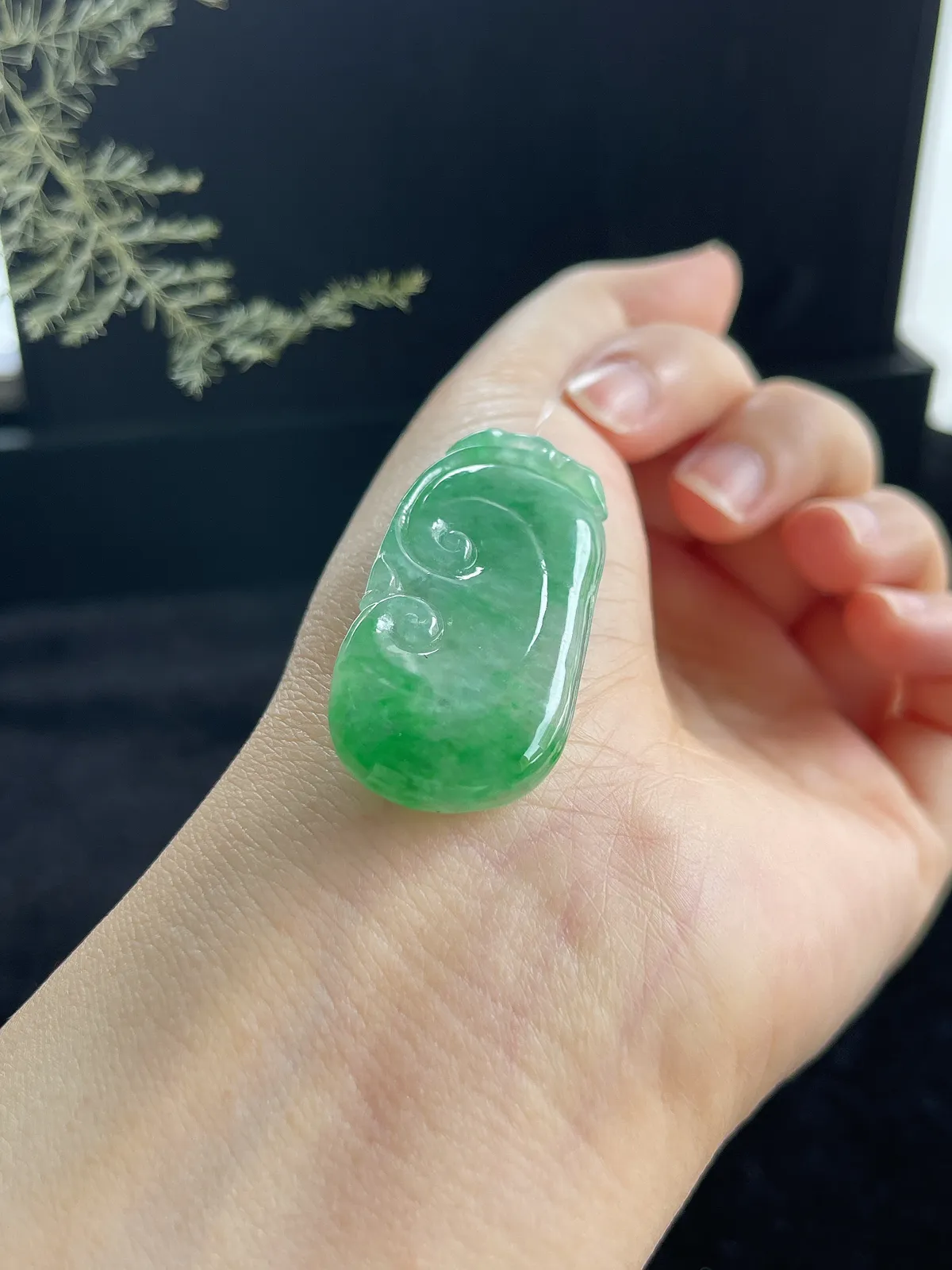 翡翠冰糯种飘绿如意