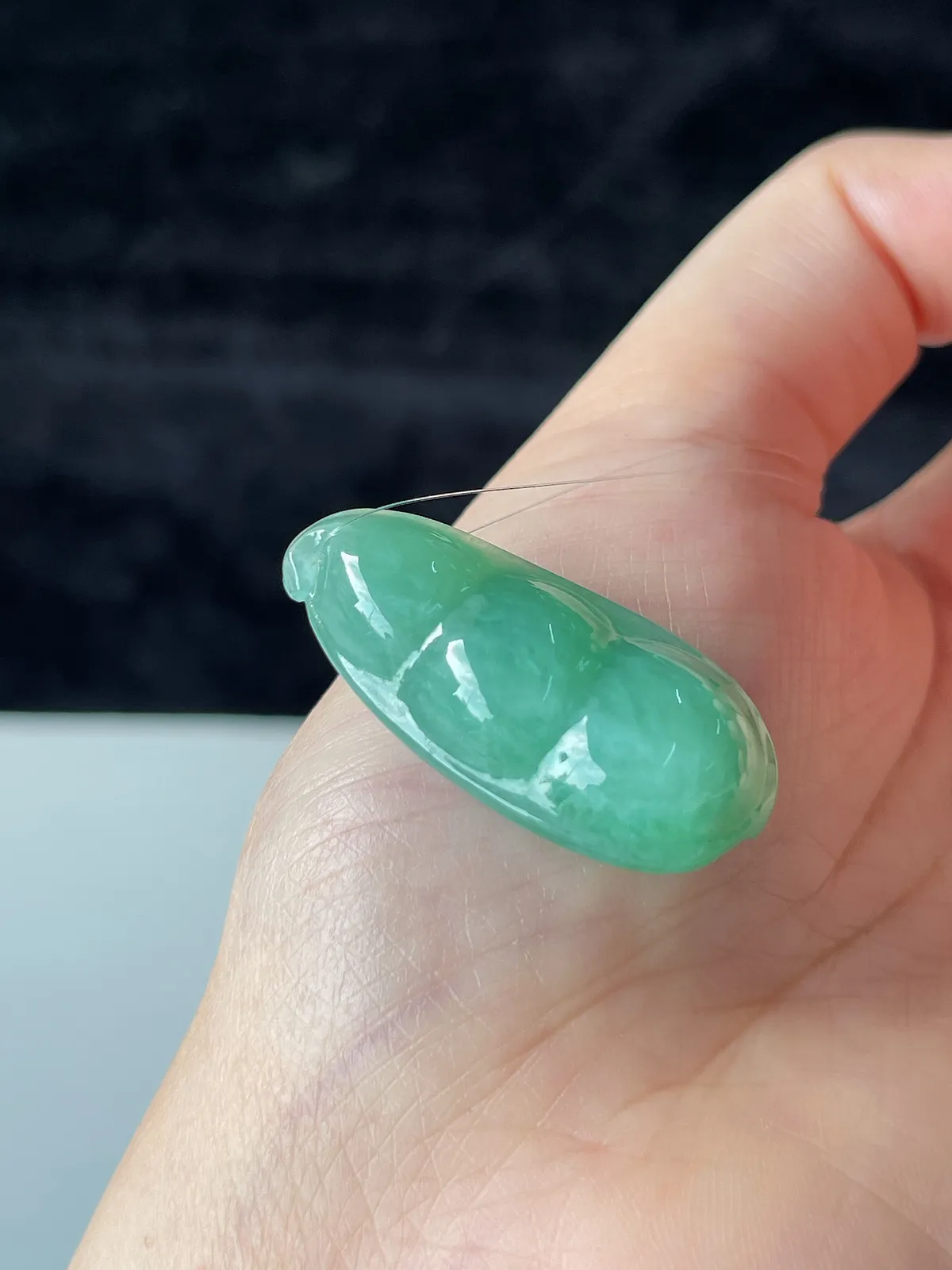 翡翠糯化种浅绿色福豆