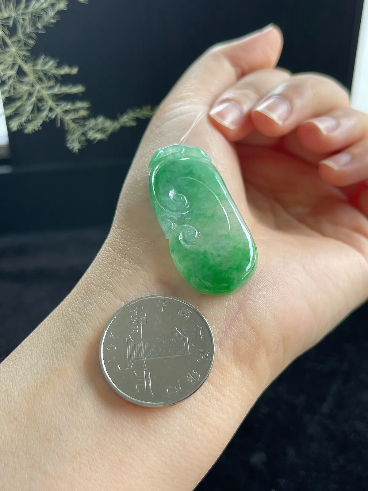 翡翠冰糯种飘绿如意