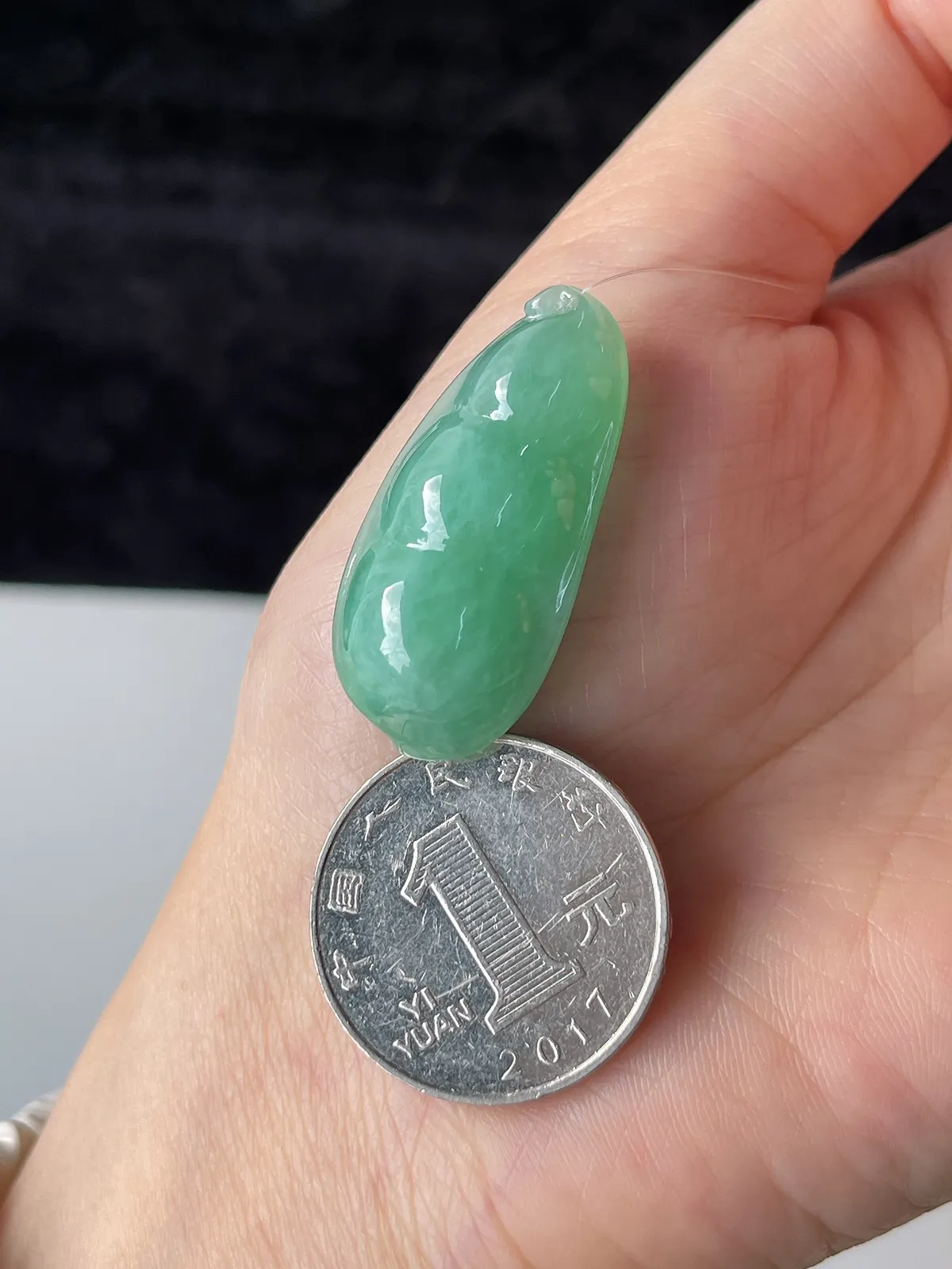 翡翠糯化种浅绿色福豆