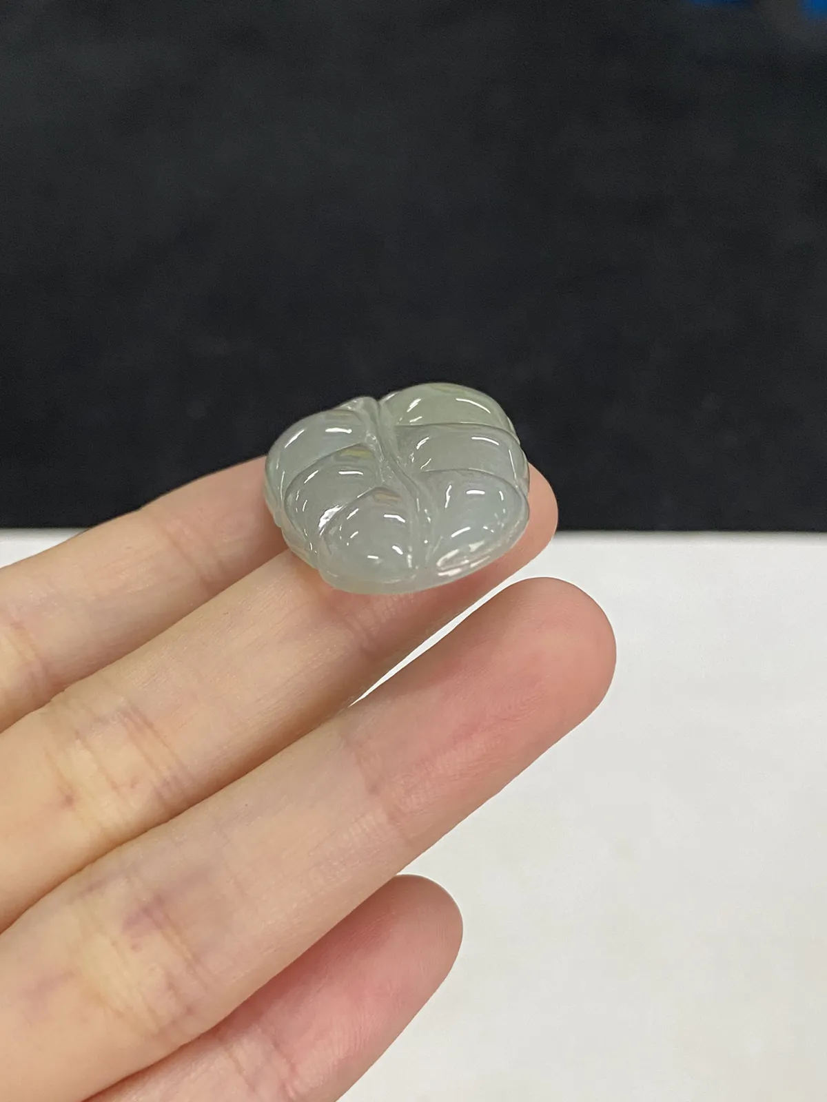翡翠糯化种白色叶子