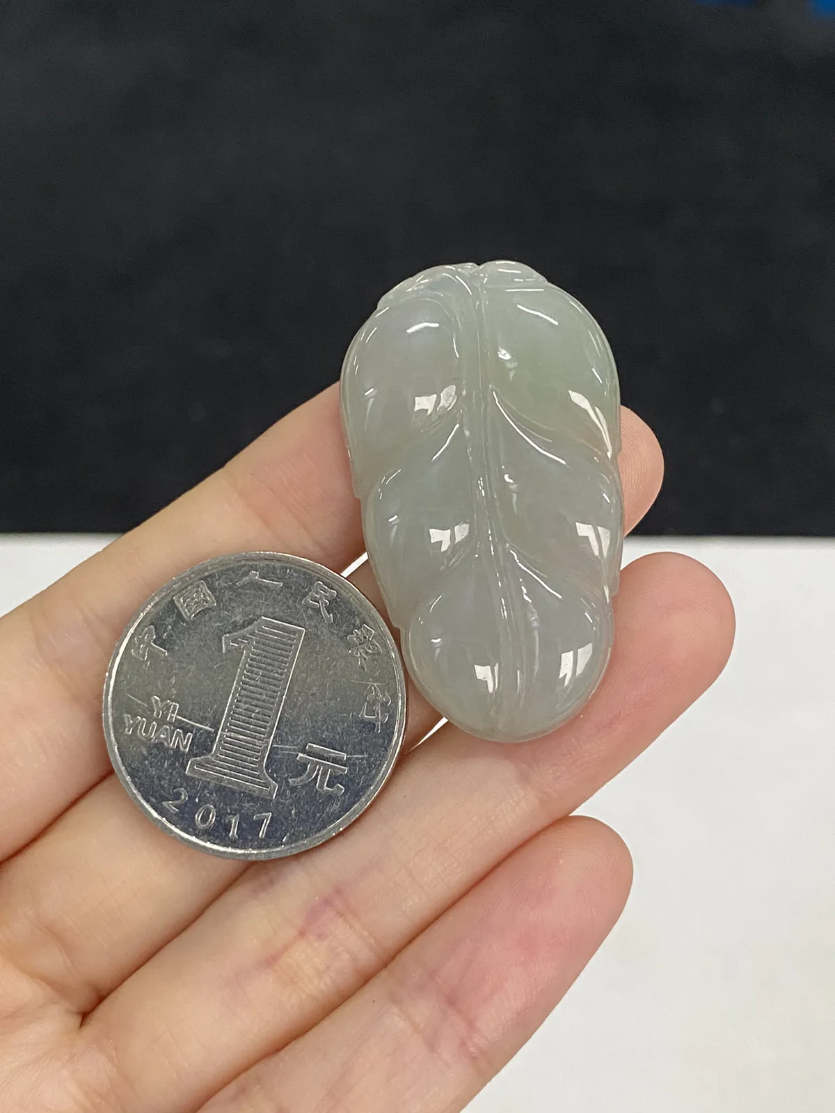 翡翠糯化种白色叶子