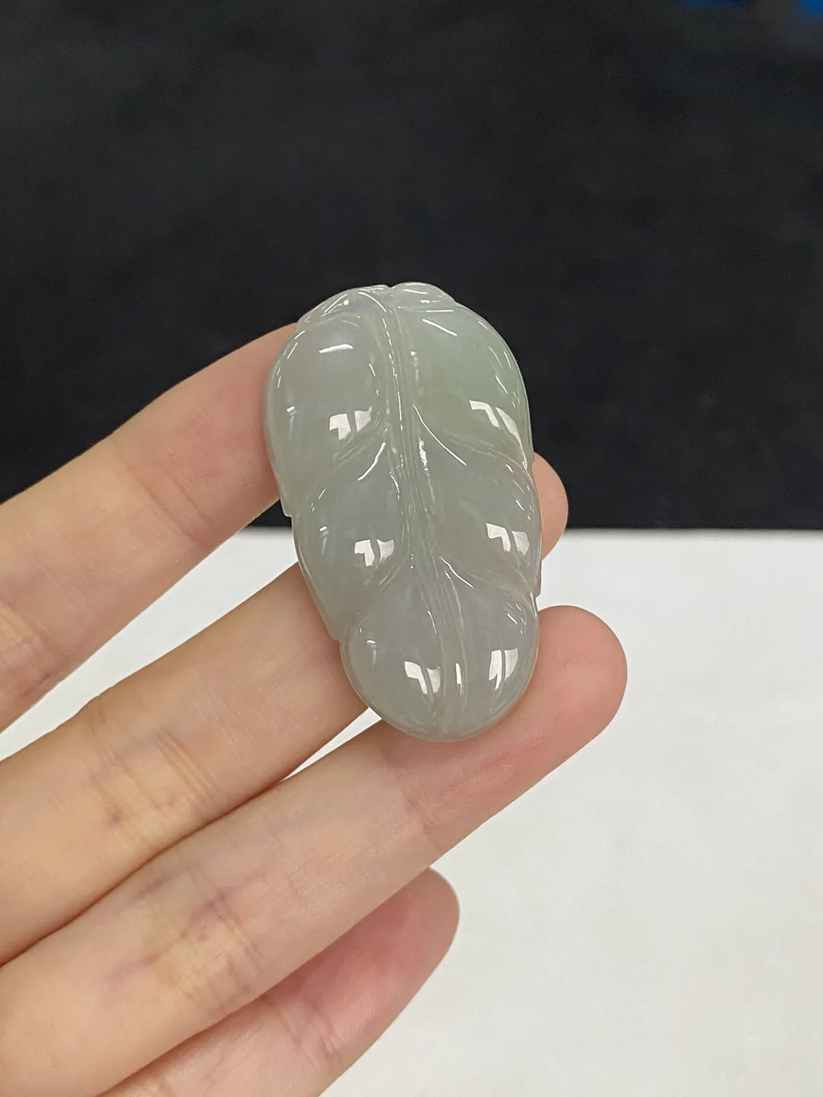 翡翠糯化种白色叶子