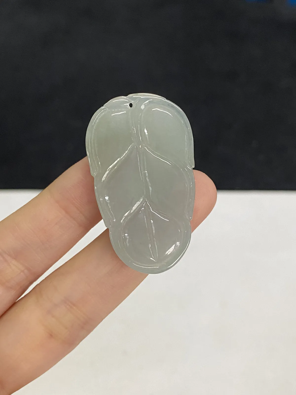 翡翠糯化种白色叶子