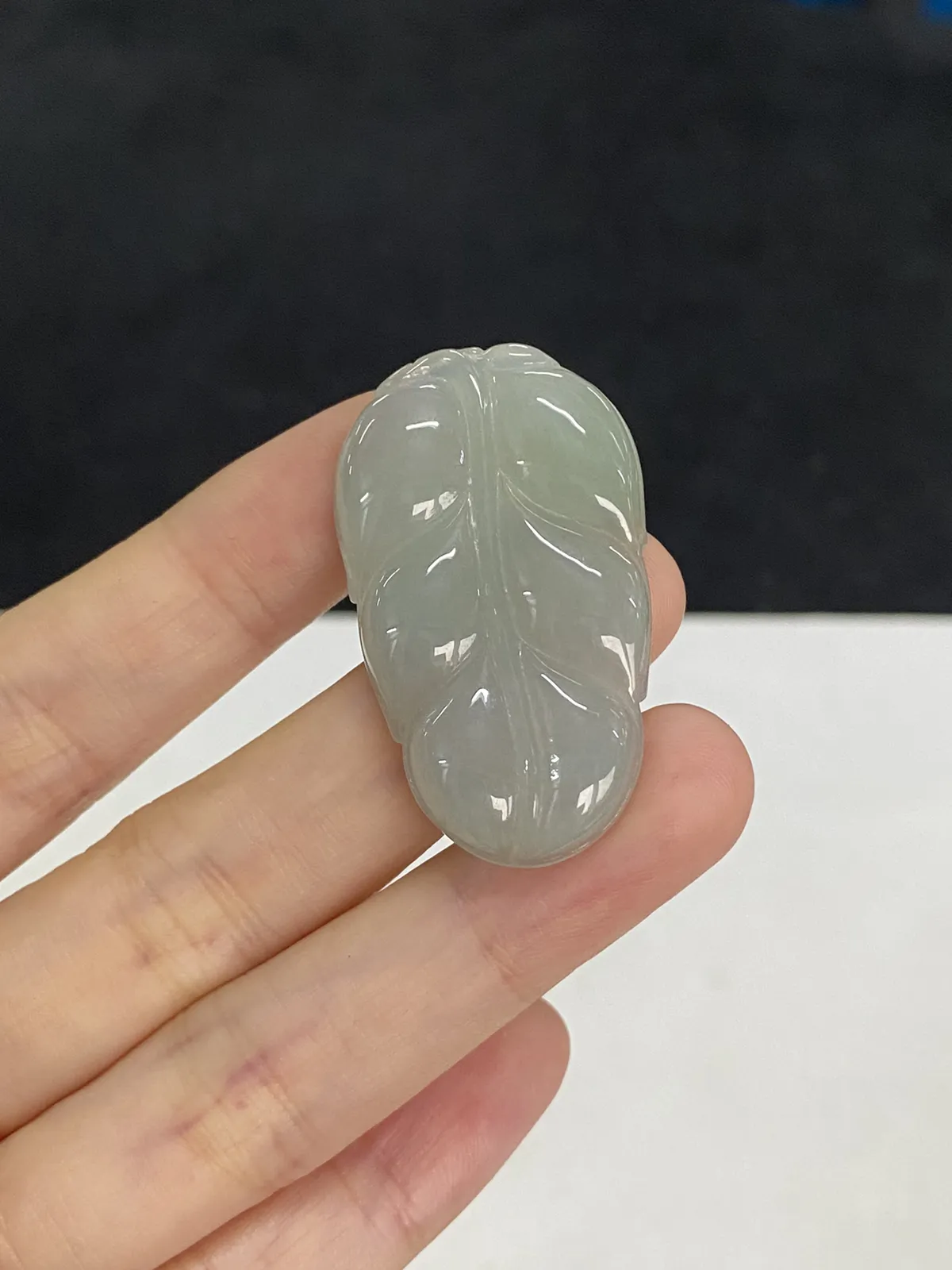 翡翠糯化种白色叶子