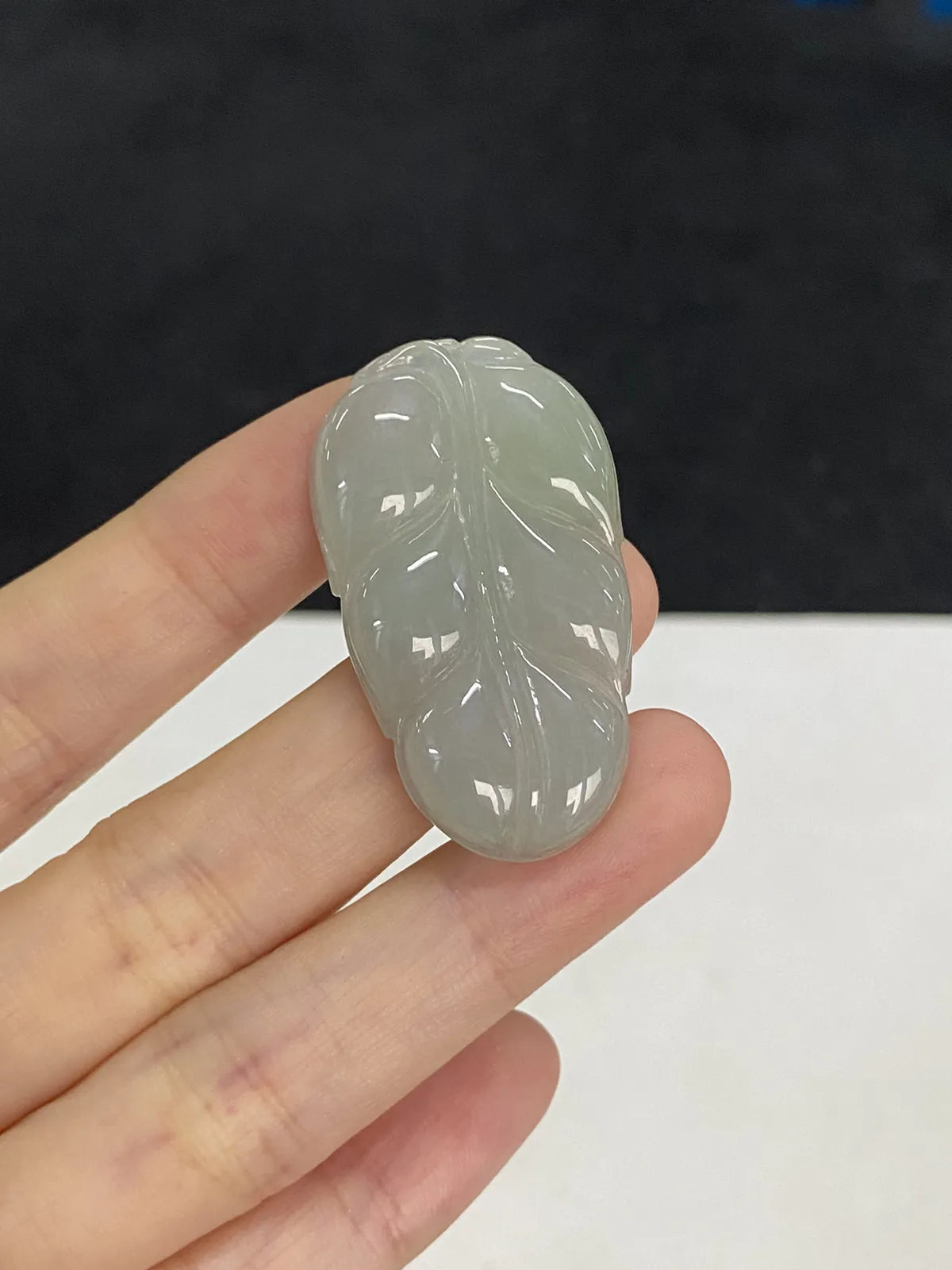翡翠糯化种白色叶子
