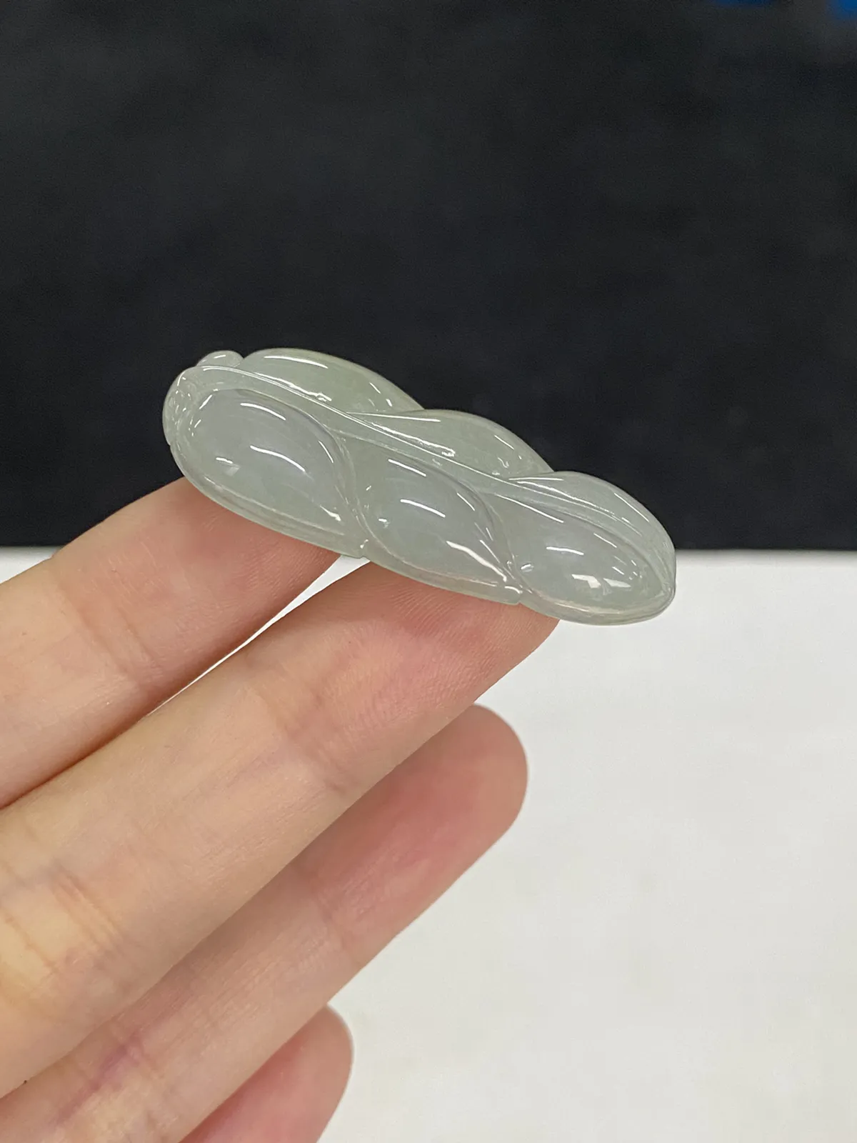 翡翠糯化种白色叶子