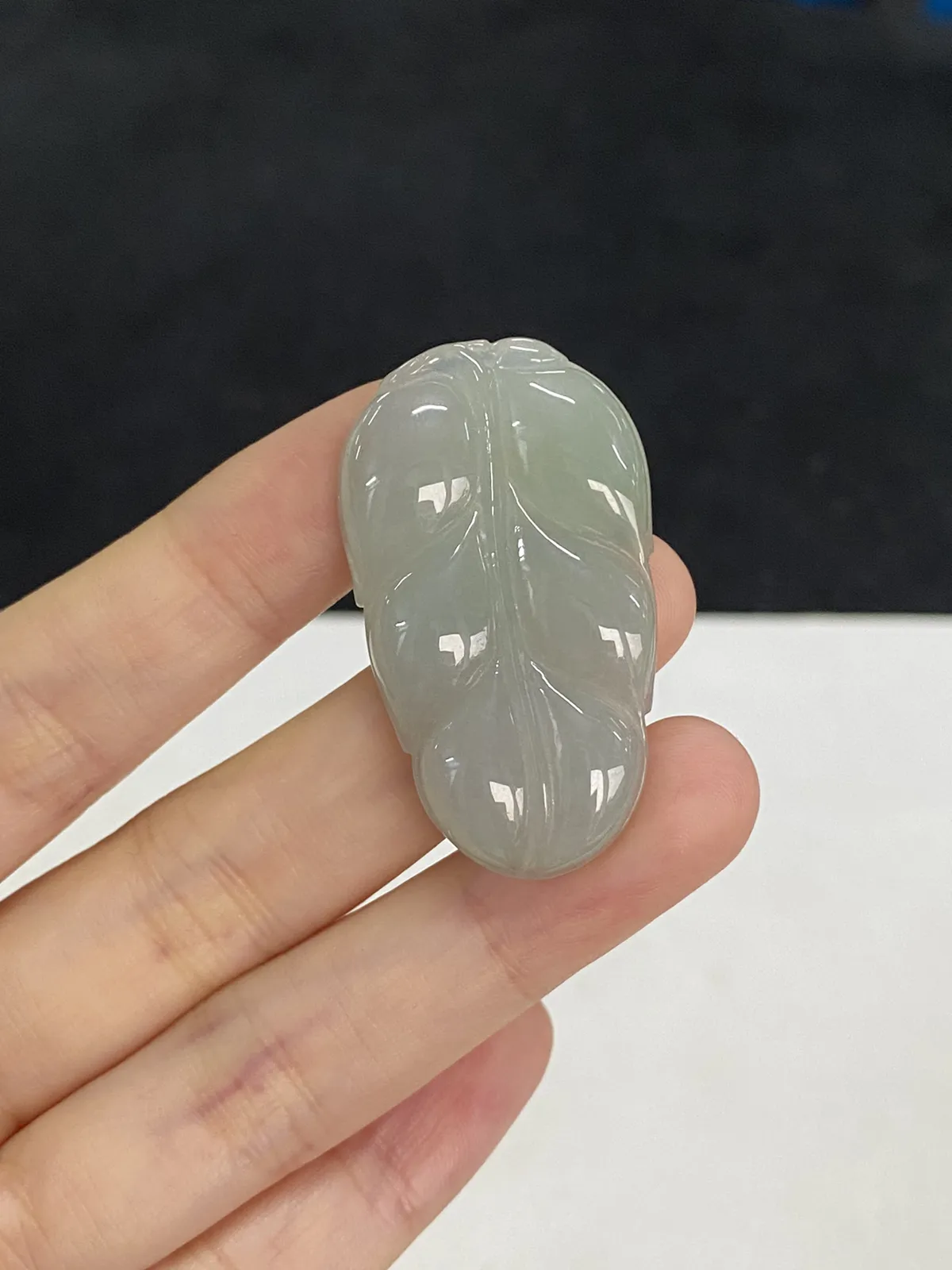 翡翠糯化种白色叶子