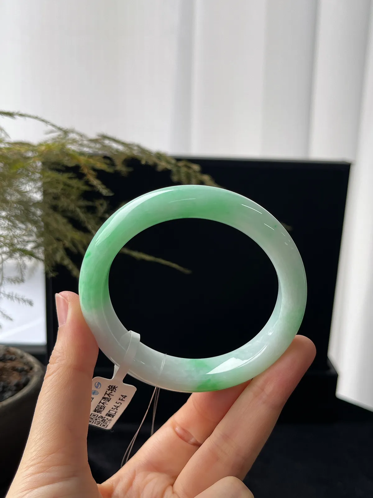 正圈54.5圈口，翡翠糯化种飘绿手镯