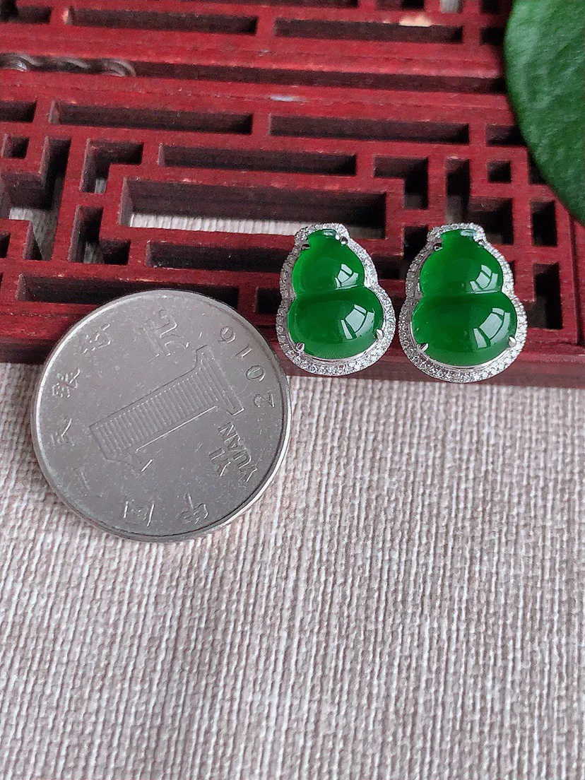 天然a货翡翠ddj老坑冰种18K金镶嵌满绿葫芦耳钉 整体11.8×8.4mm 3.53