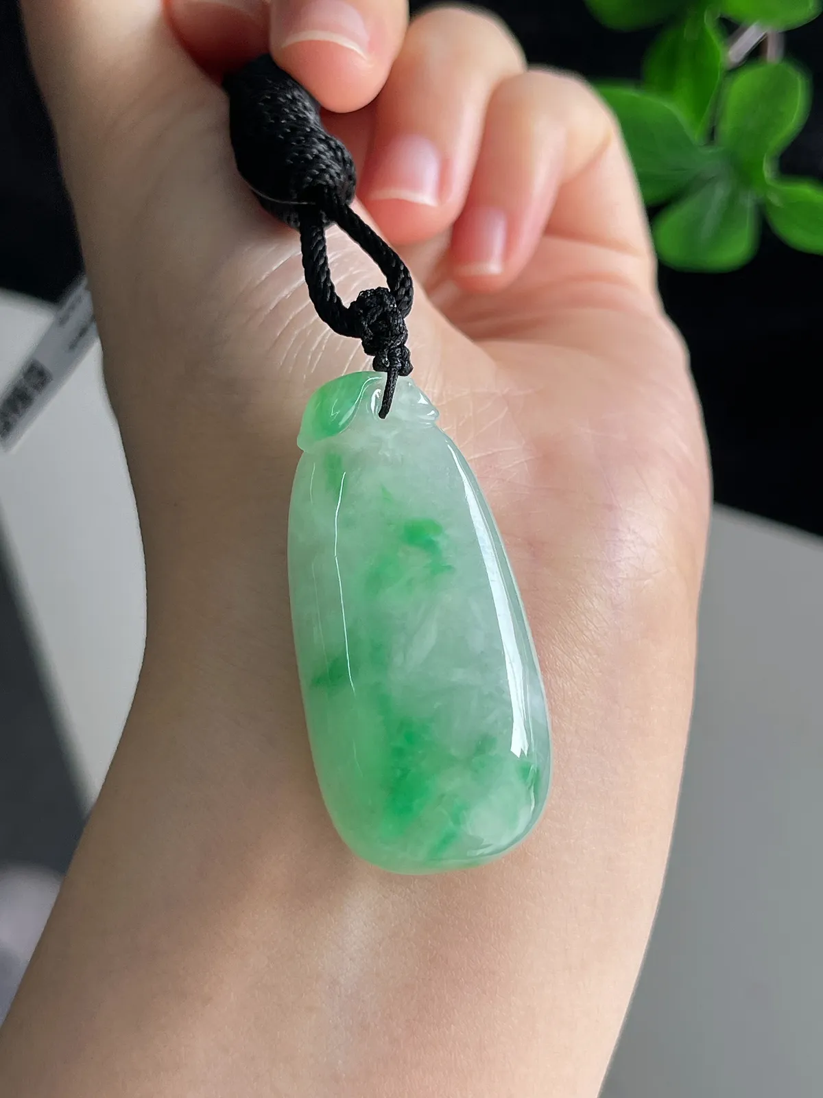 翡翠糯化种飘绿福瓜