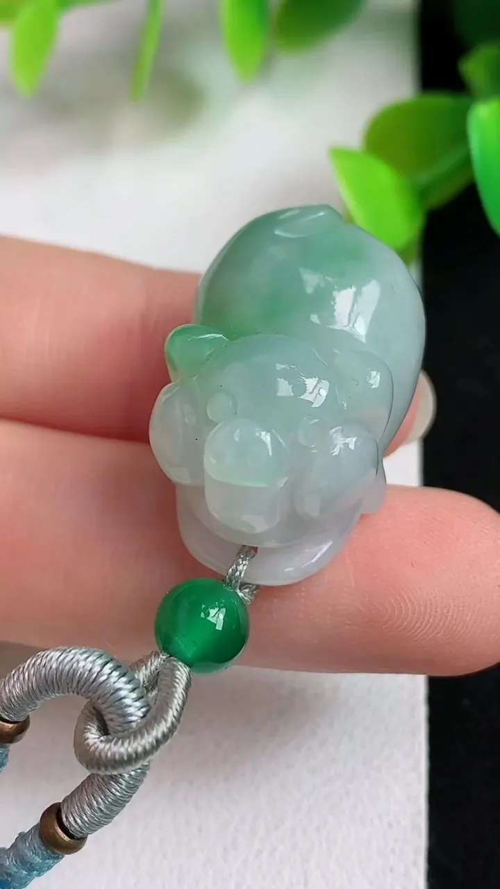 天然A货翡翠生肖猪吊坠，尺寸23.5-16.6-15，重:12.56g
5月5日
